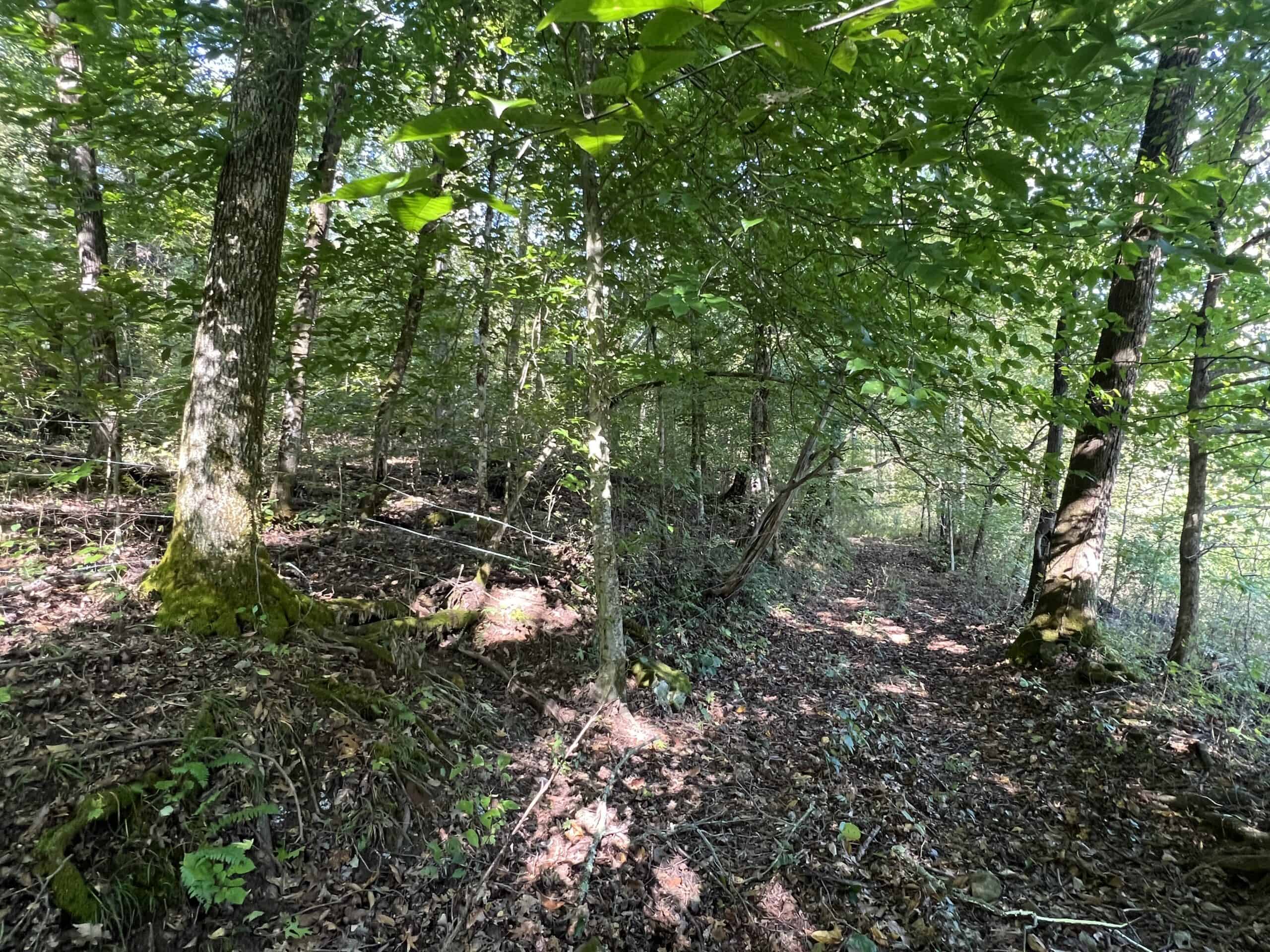 Tennessee Farm for Sale with Barn, Shop, Fencing, Septic, Creek, and Hunting