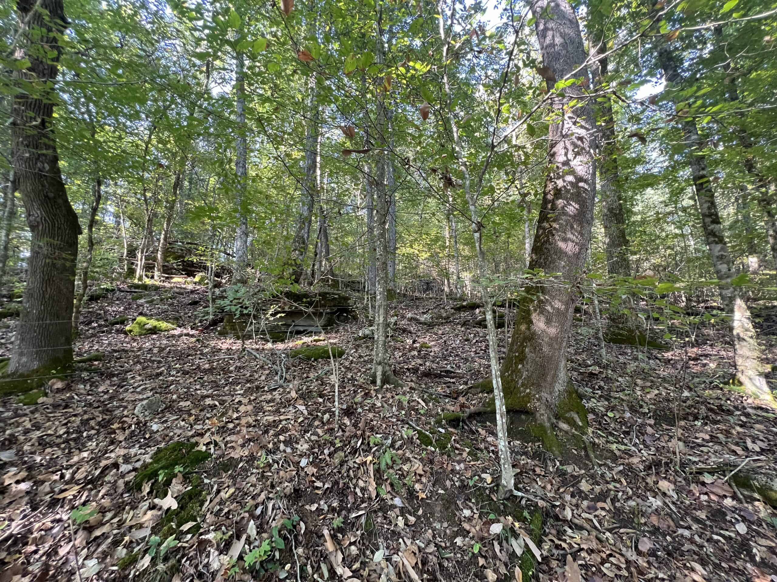 Tennessee Farm for Sale with Barn, Shop, Fencing, Septic, Creek, and Hunting