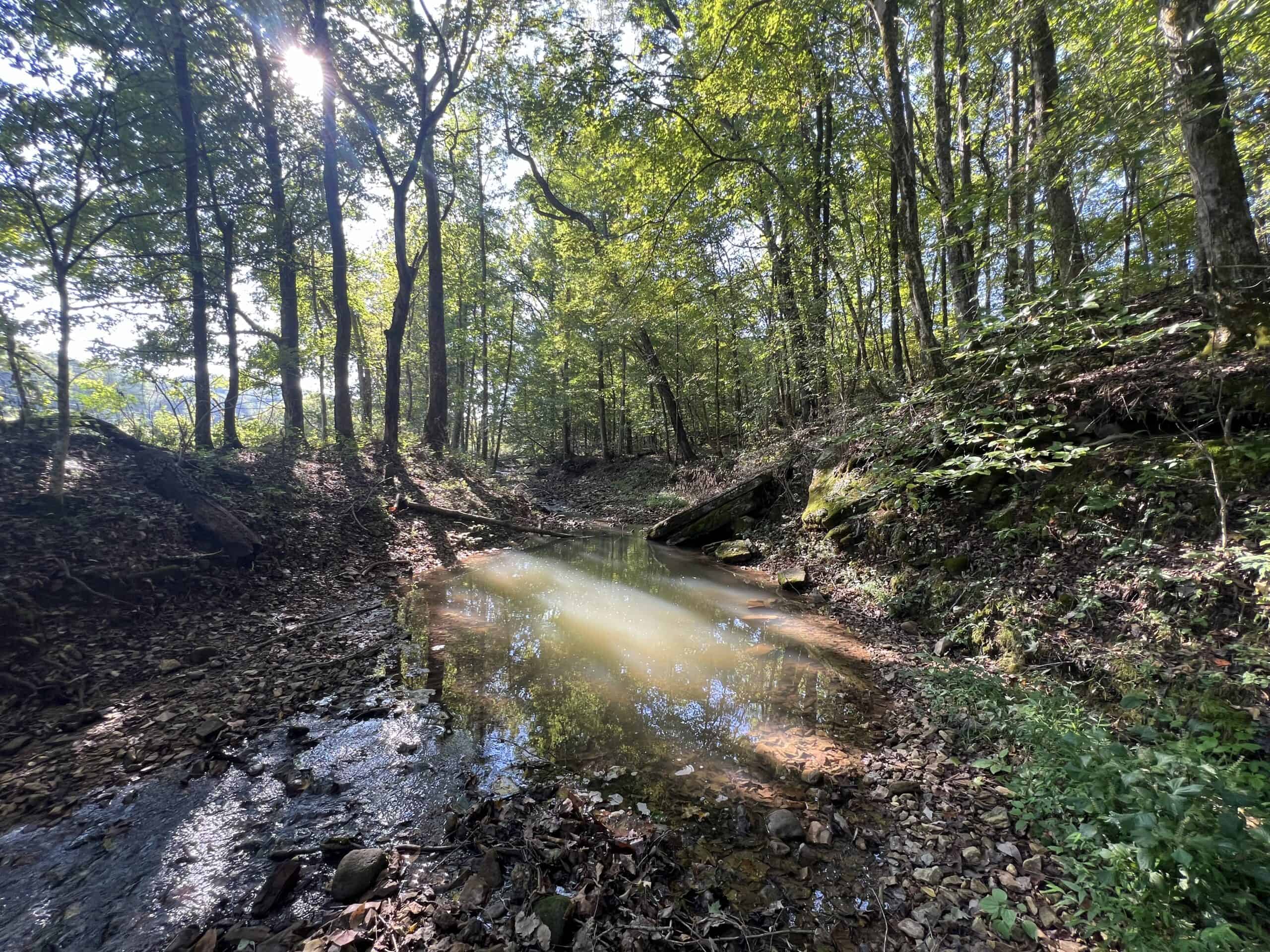 Tennessee Farm for Sale with Barn, Shop, Fencing, Septic, Creek, and Hunting