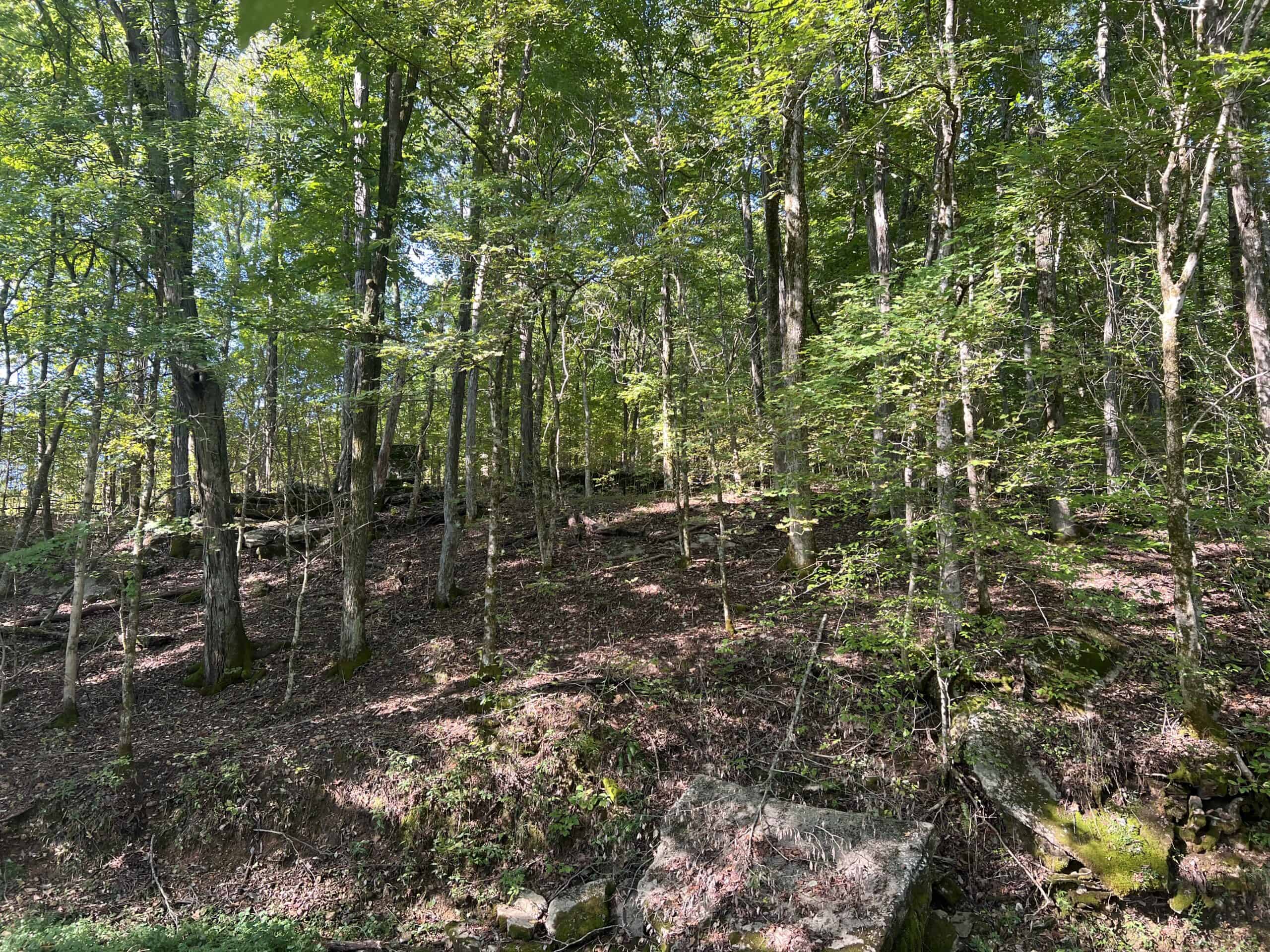 Tennessee Farm for Sale with Barn, Shop, Fencing, Septic, Creek, and Hunting