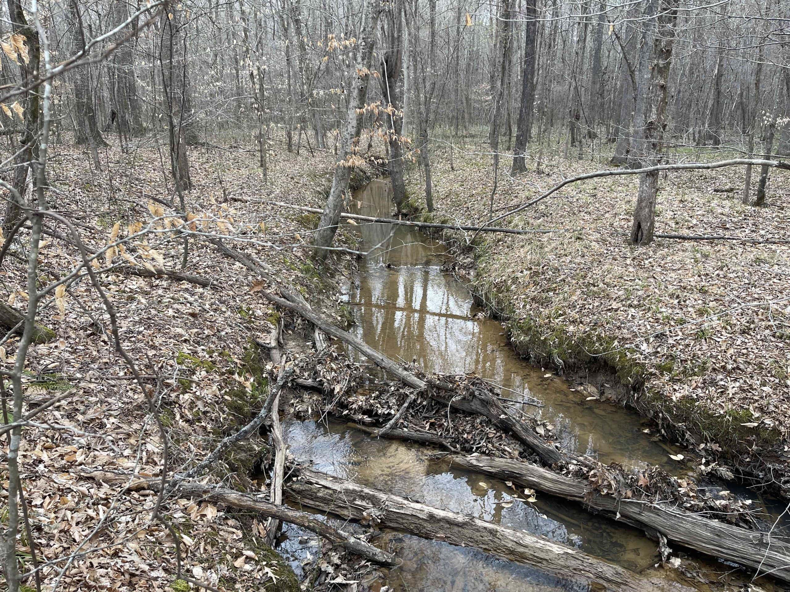HUNTING LAND FOR SALE NEAR TN RIVER WITH CREEK 154.16Acres