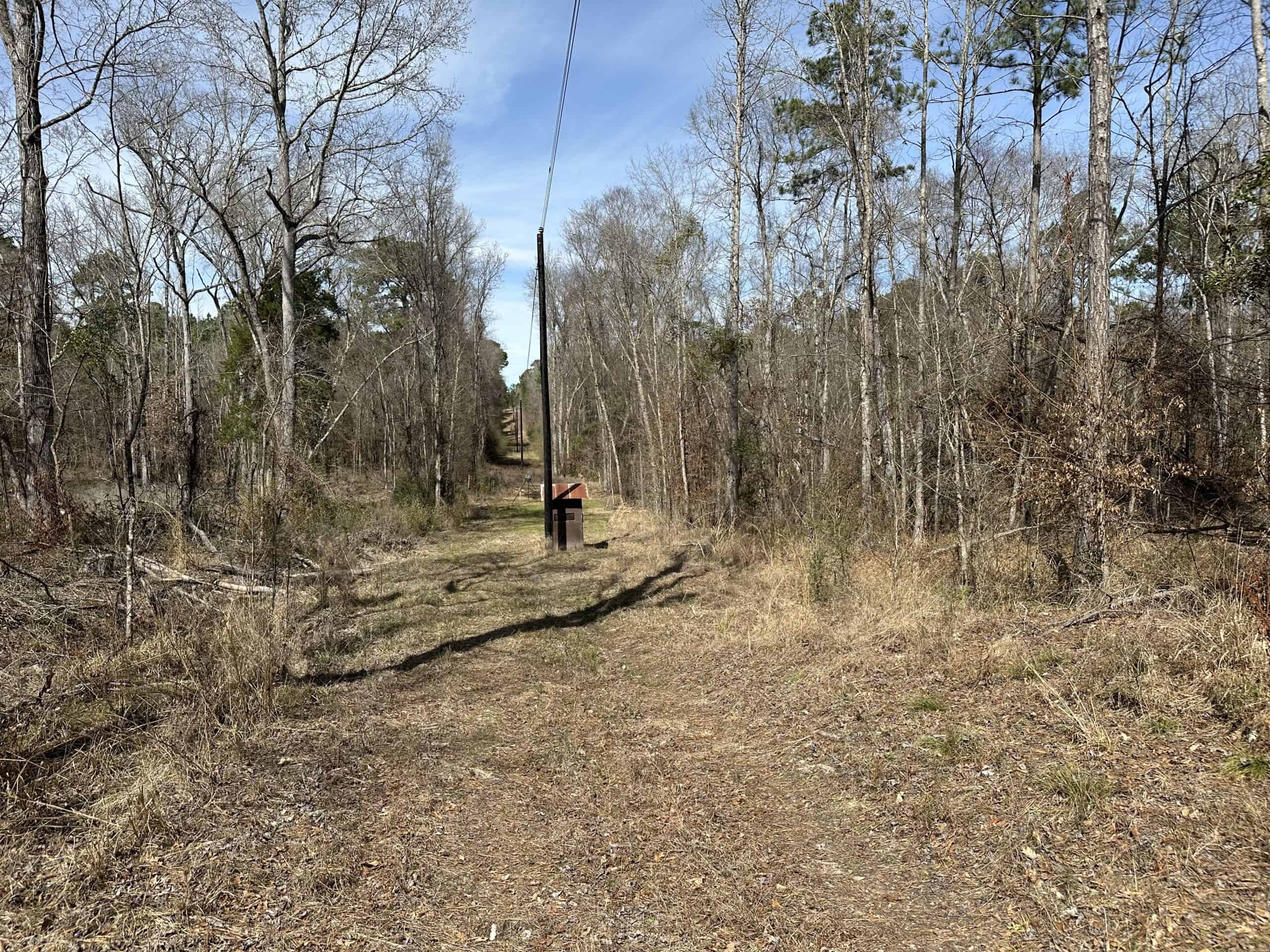 East Texas Hunting/Recreational/Timber Land For Sale