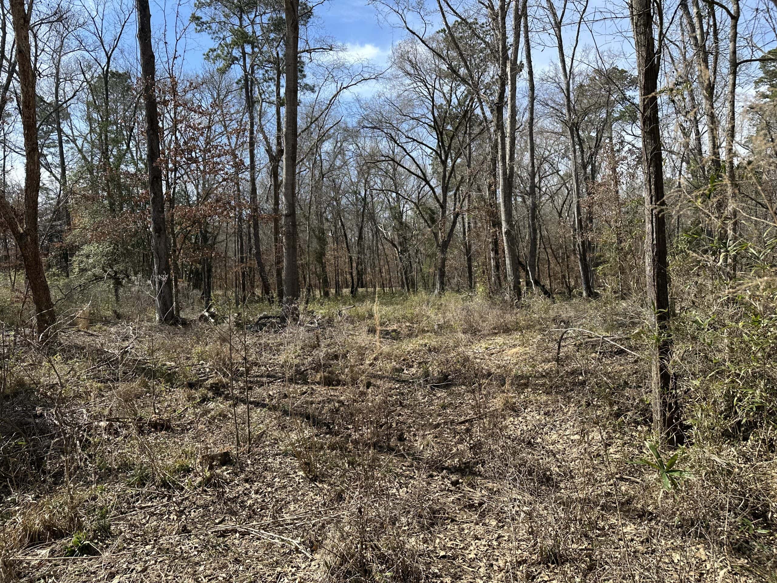 East Texas Hunting/Recreational/Timber Land For Sale