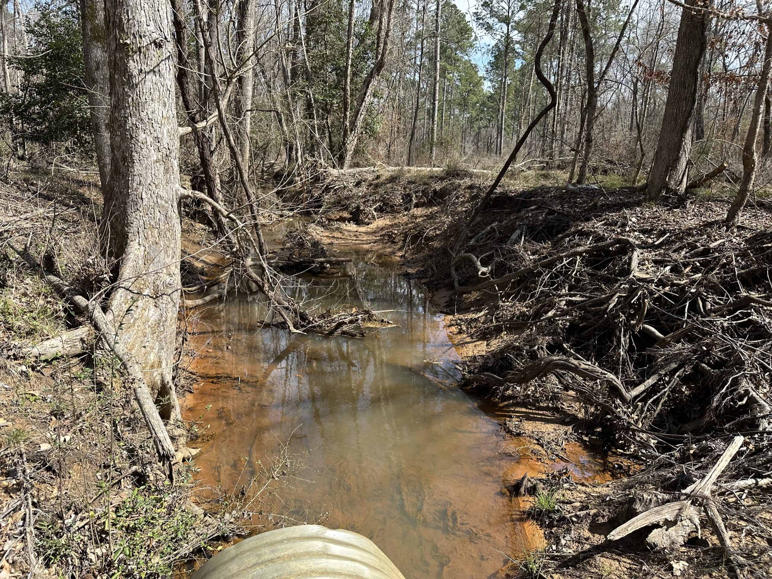 East Texas Hunting/Recreational/Timber Land For Sale
