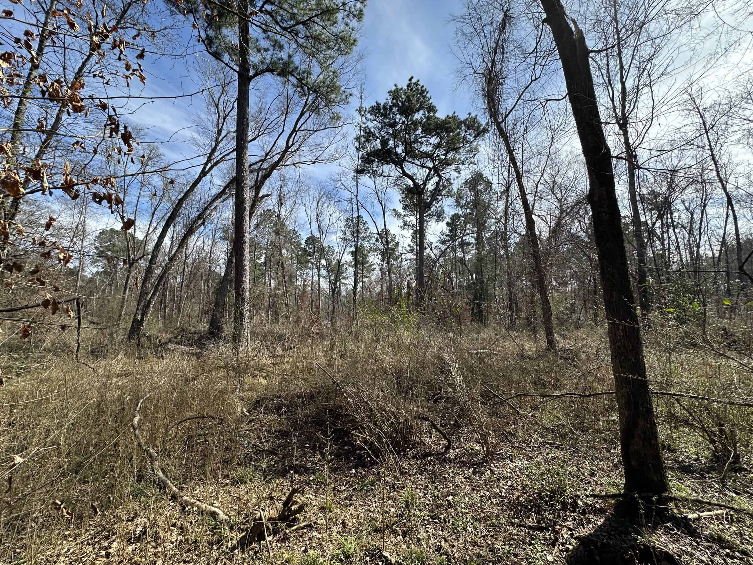 East Texas Hunting/Recreational/Timber Land For Sale
