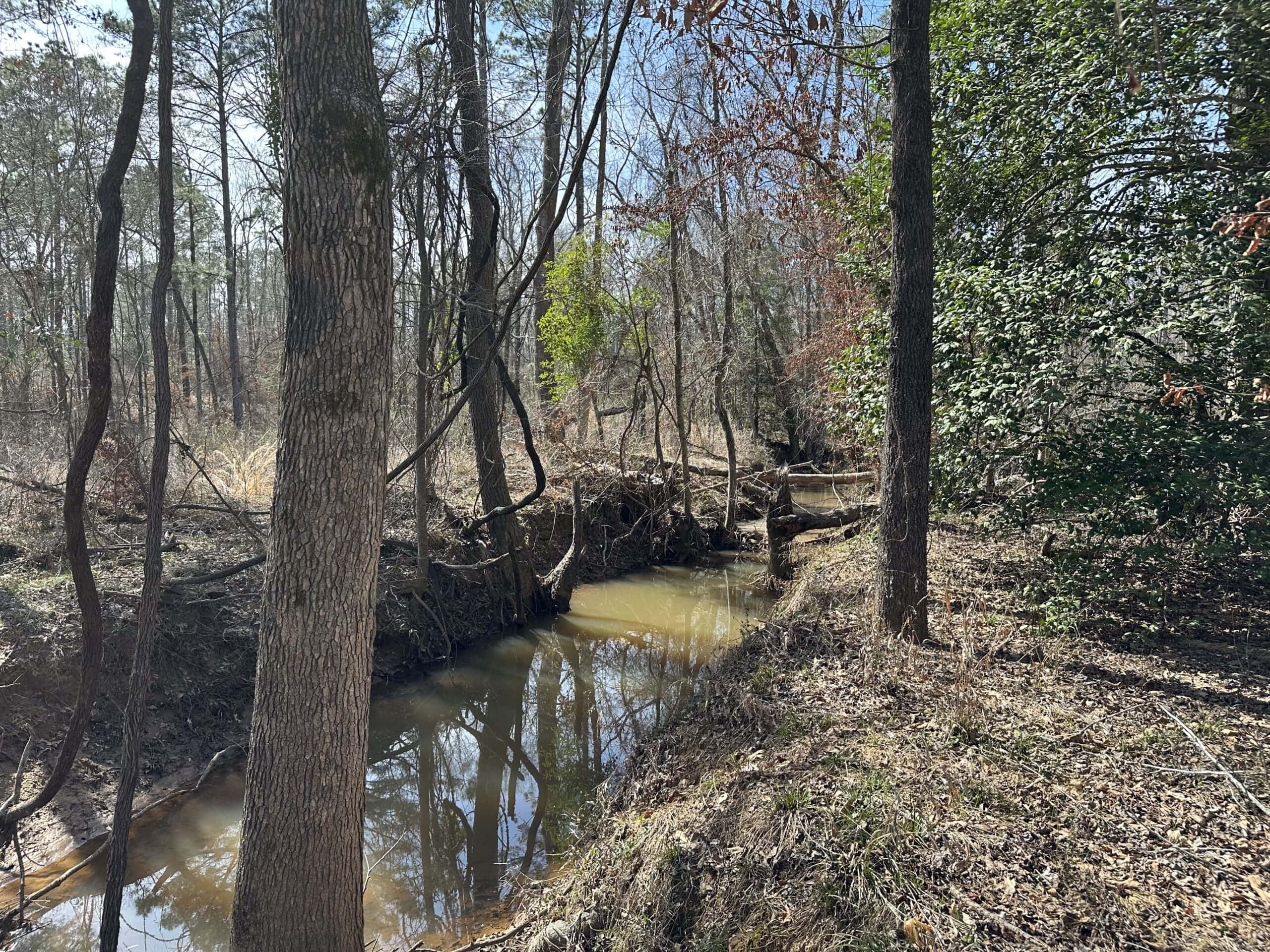 East Texas Hunting/Recreational/Timber Land For Sale