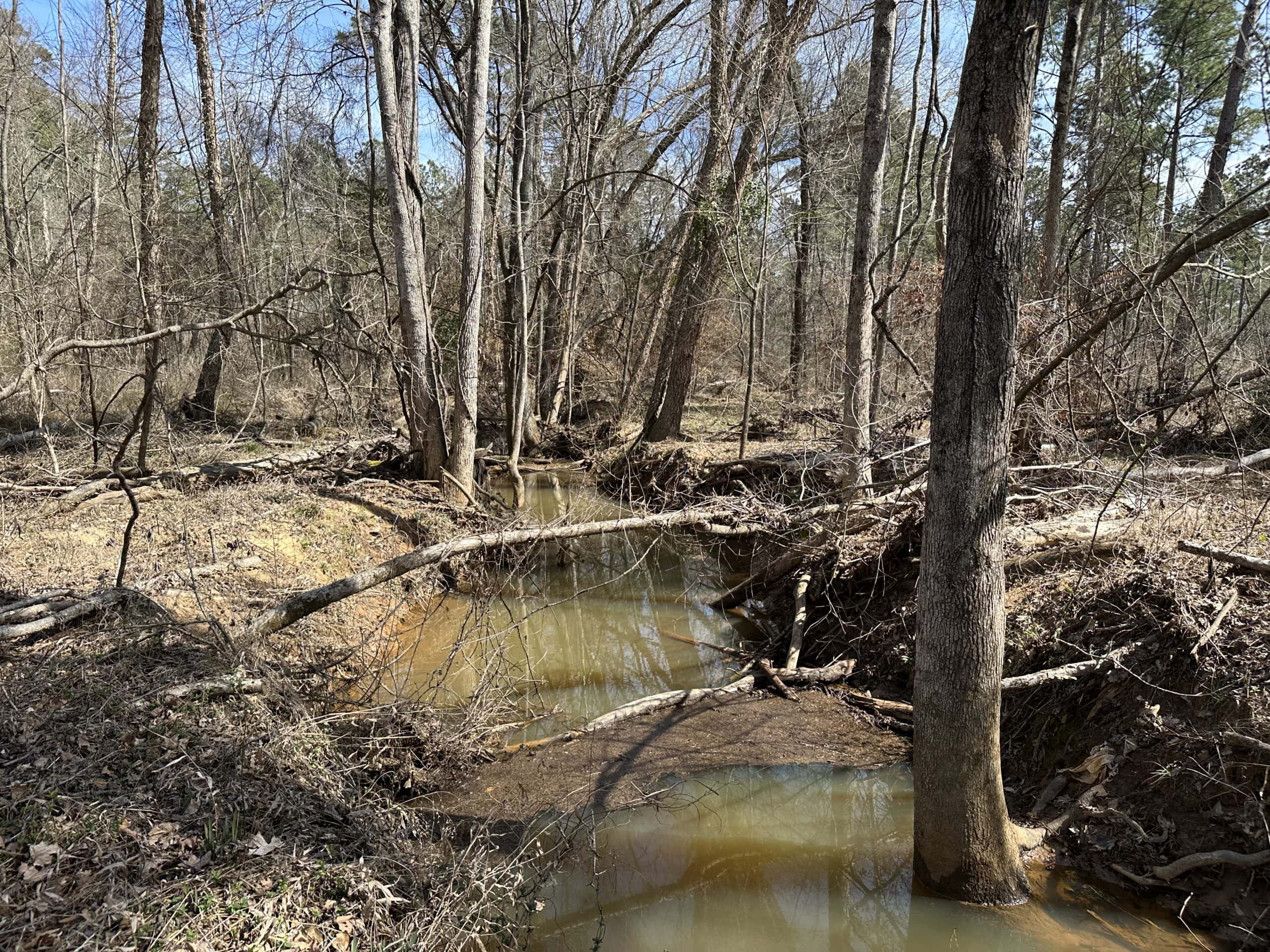 East Texas Hunting/Recreational/Timber Land For Sale