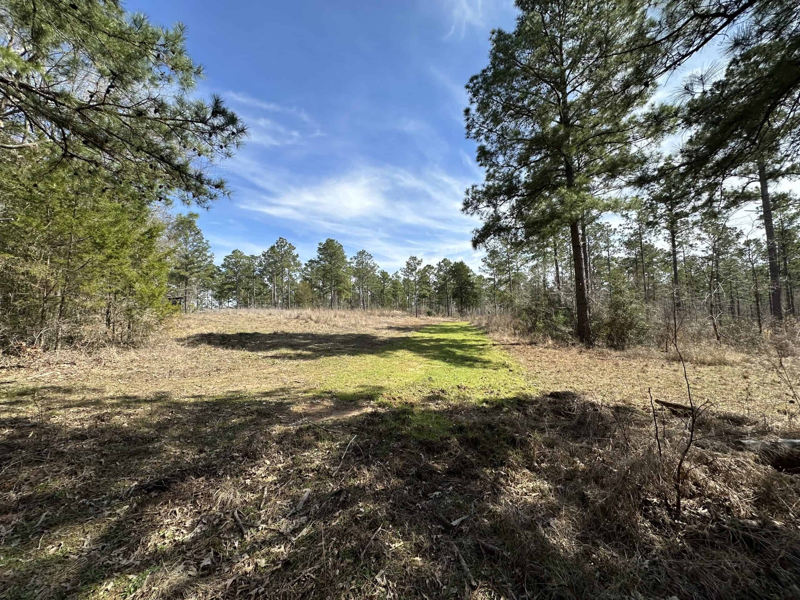 East Texas Hunting/Recreational/Timber Land For Sale