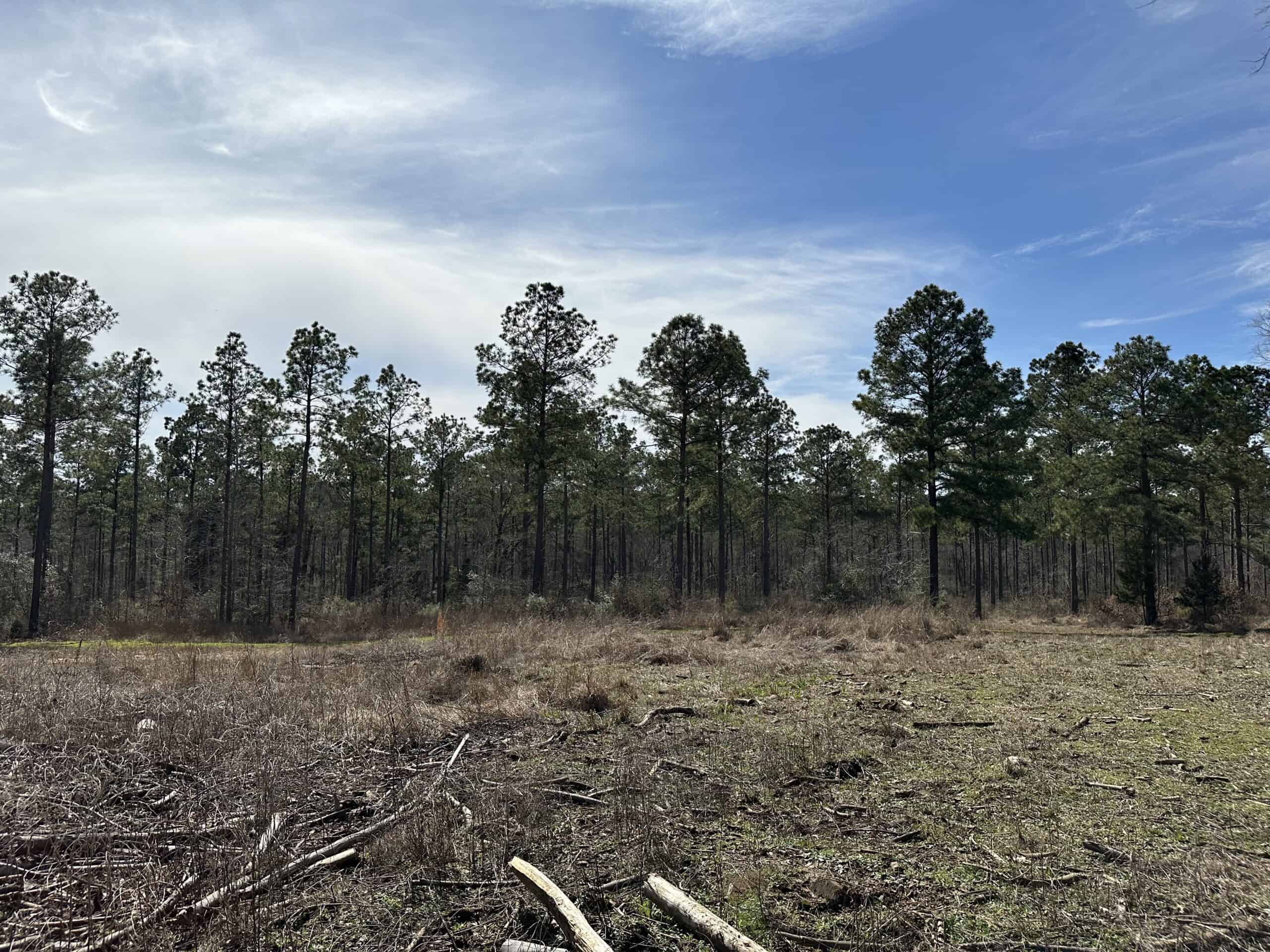 East Texas Hunting/Recreational/Timber Land For Sale