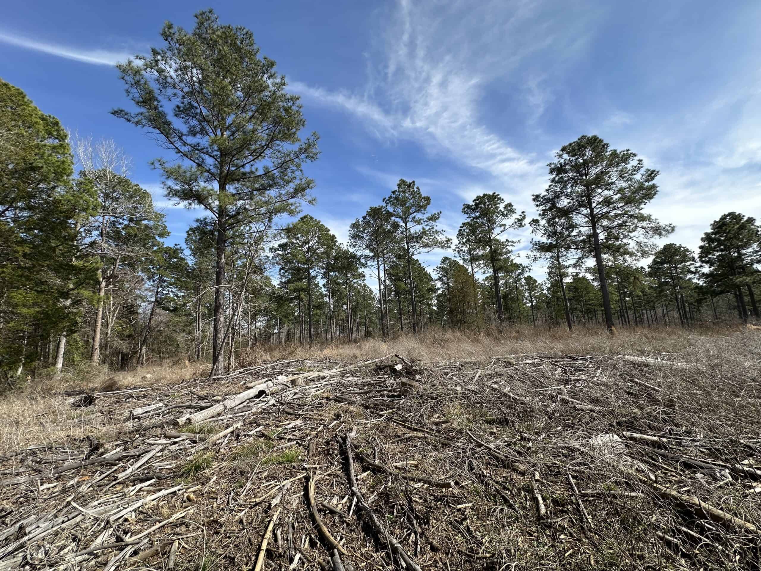 East Texas Hunting/Recreational/Timber Land For Sale