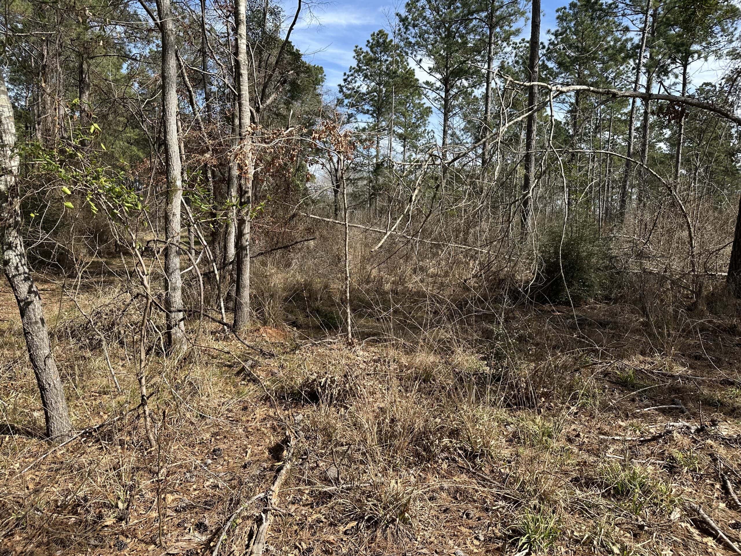 East Texas Hunting/Recreational/Timber Land For Sale