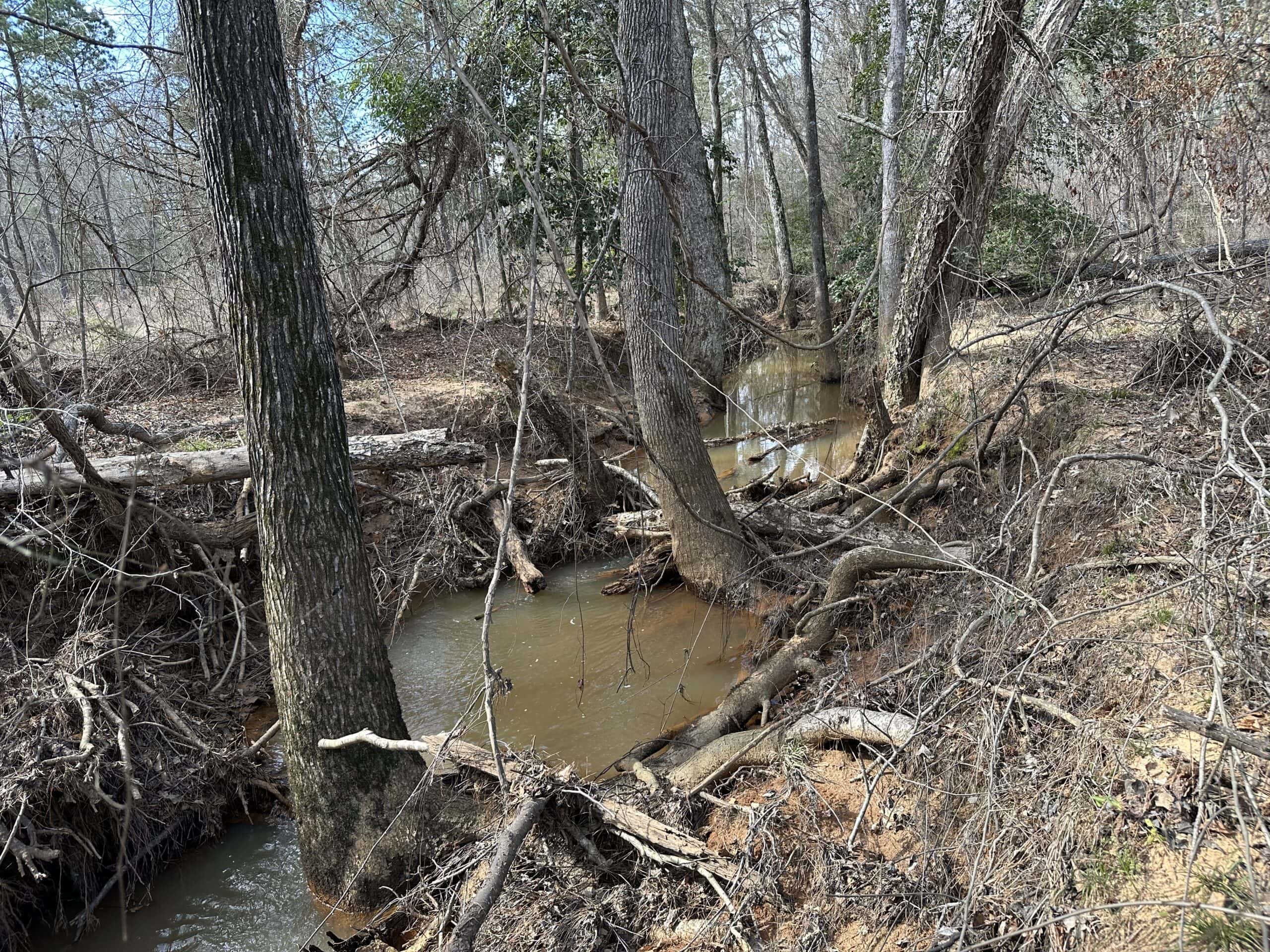 East Texas Hunting/Recreational/Timber Land For Sale