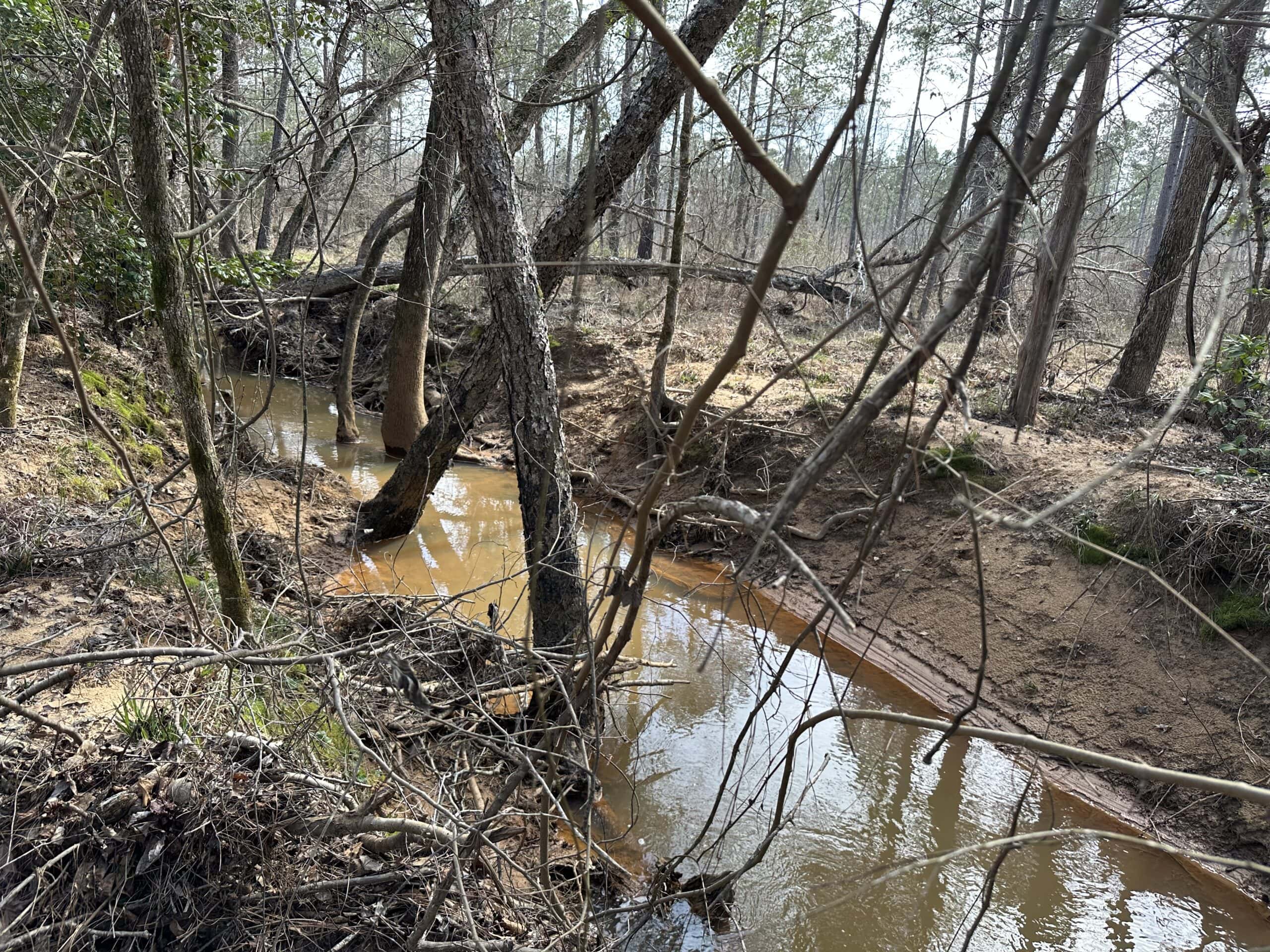 East Texas Hunting/Recreational/Timber Land For Sale