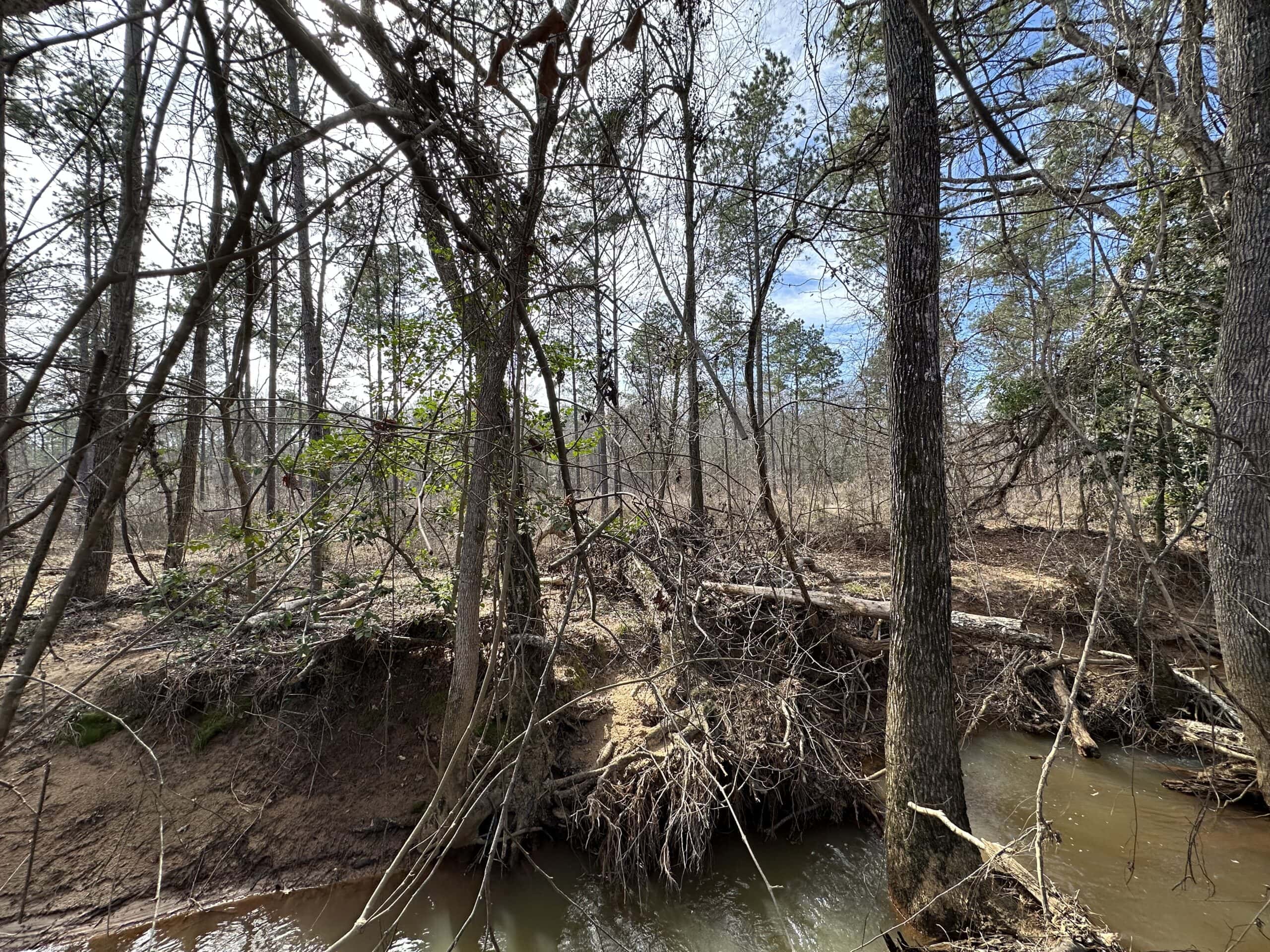 East Texas Hunting/Recreational/Timber Land For Sale