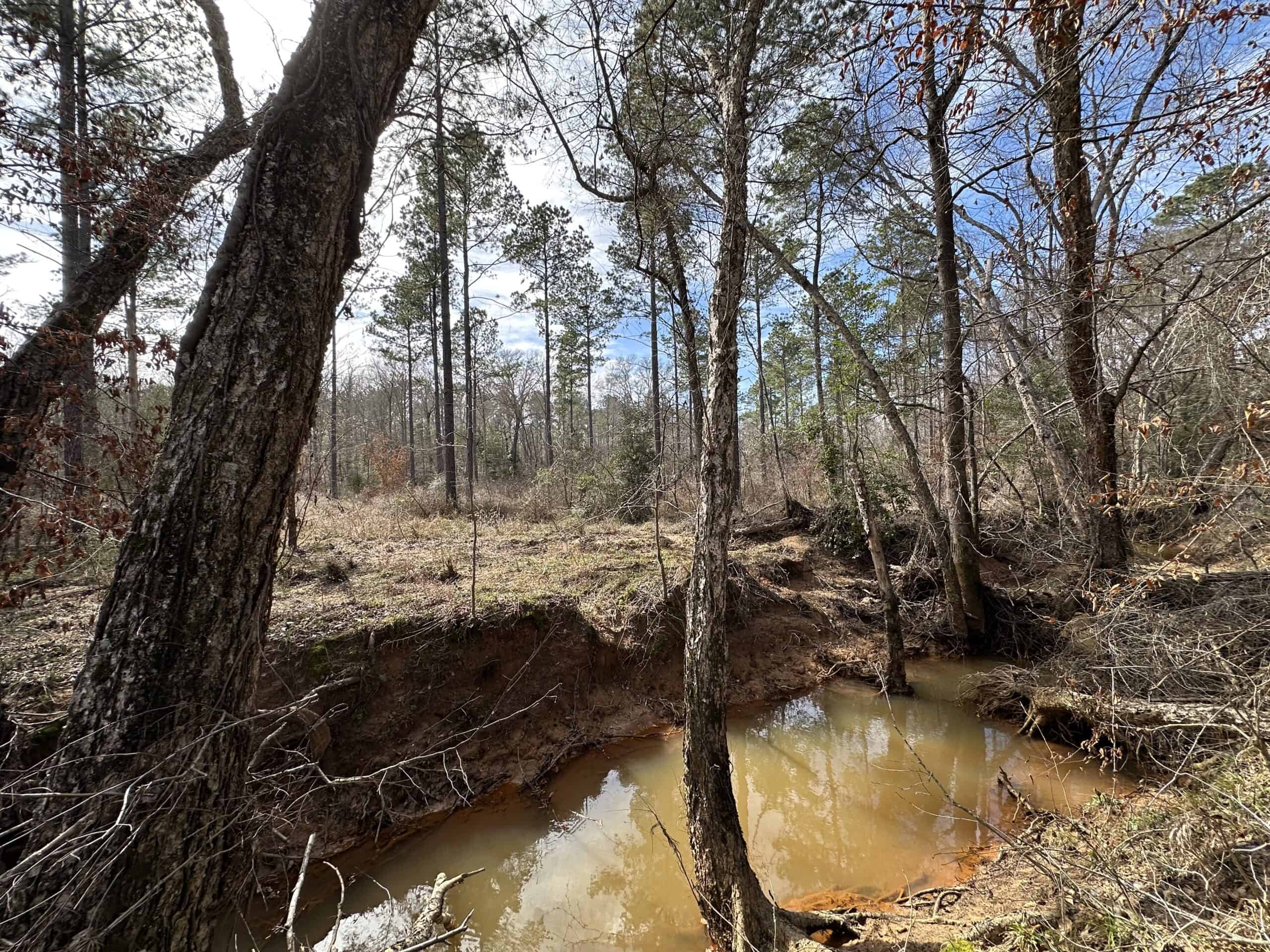 East Texas Hunting/Recreational/Timber Land For Sale