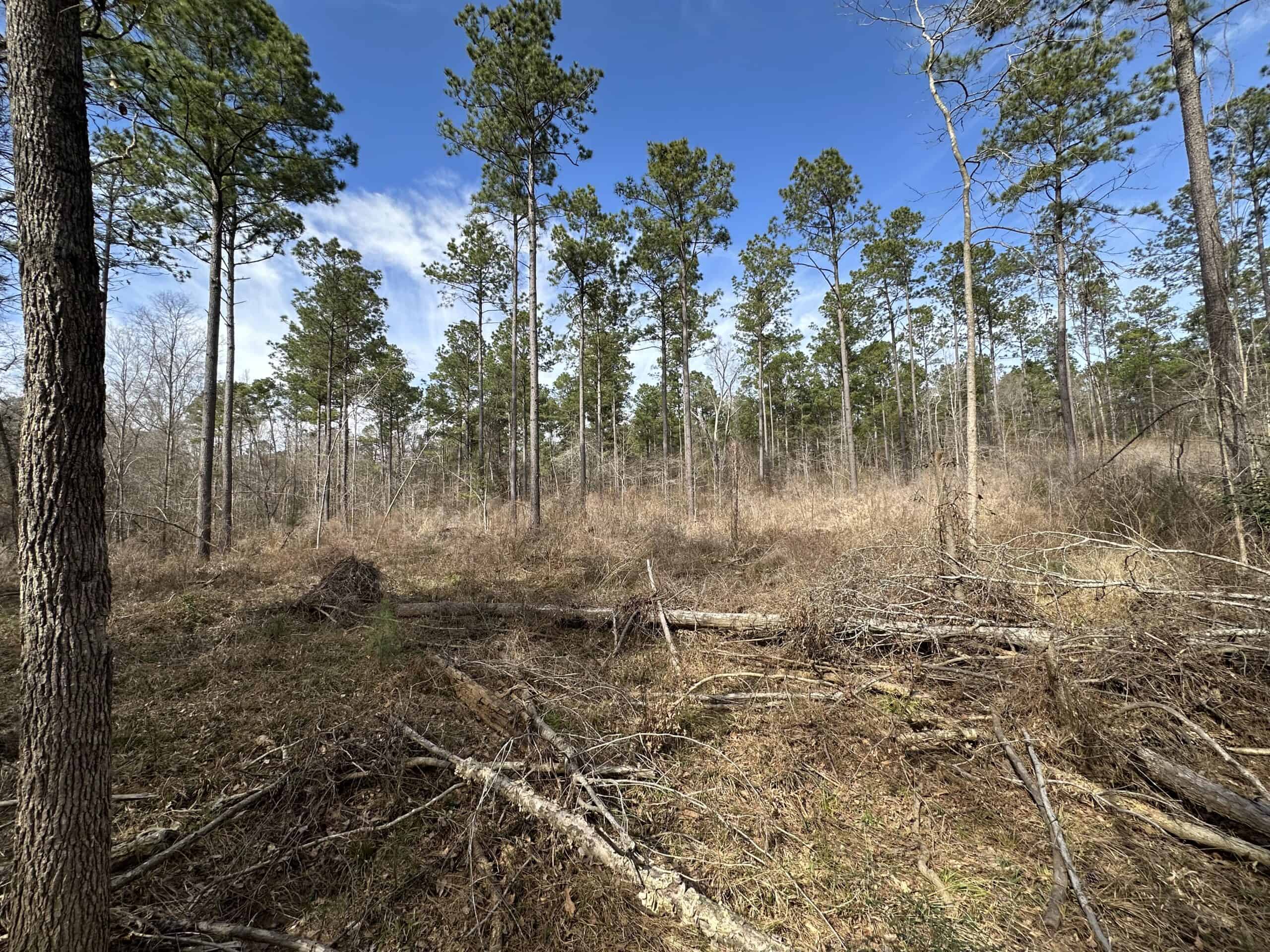 East Texas Hunting/Recreational/Timber Land For Sale