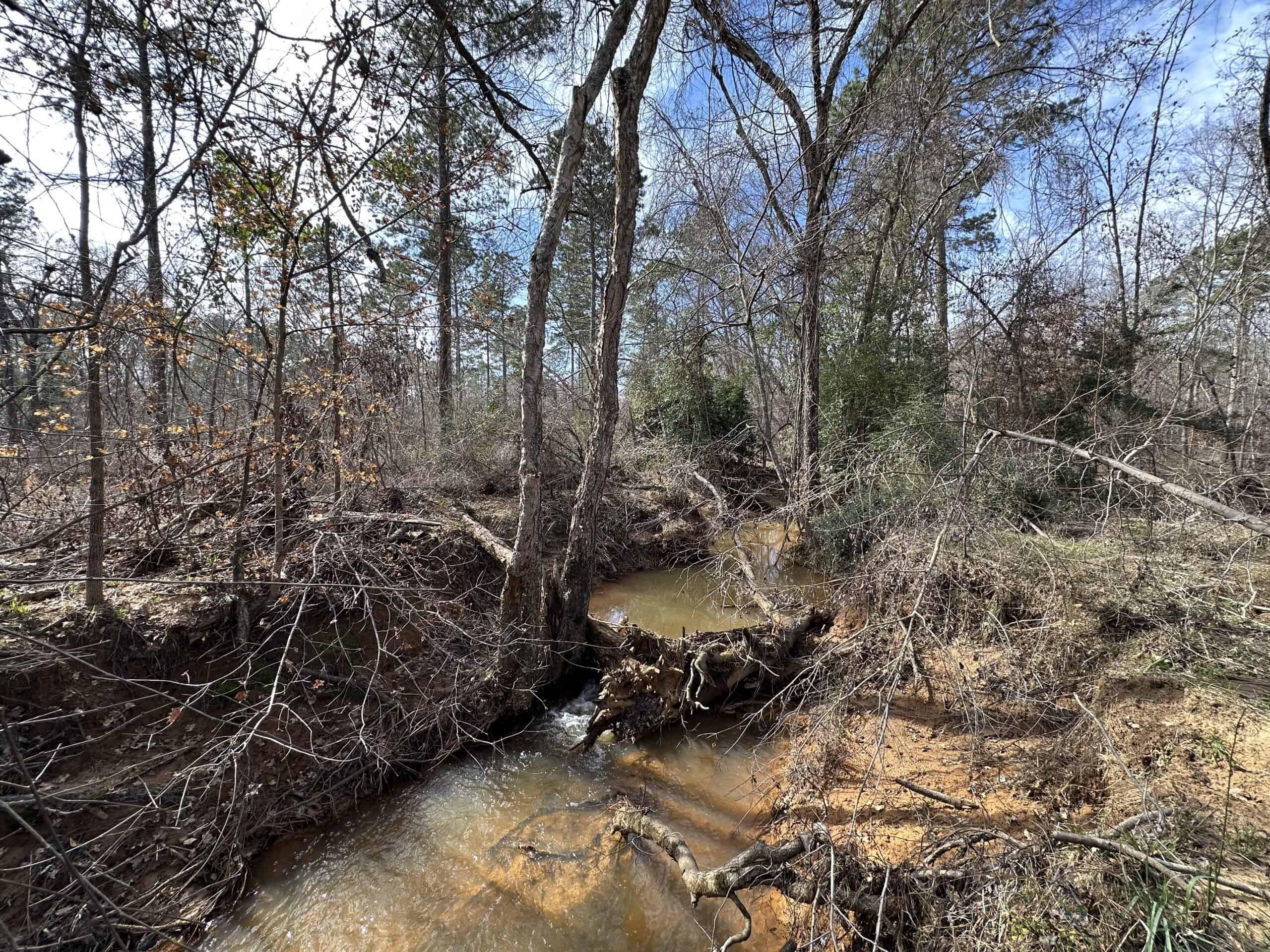 East Texas Hunting/Recreational/Timber Land For Sale