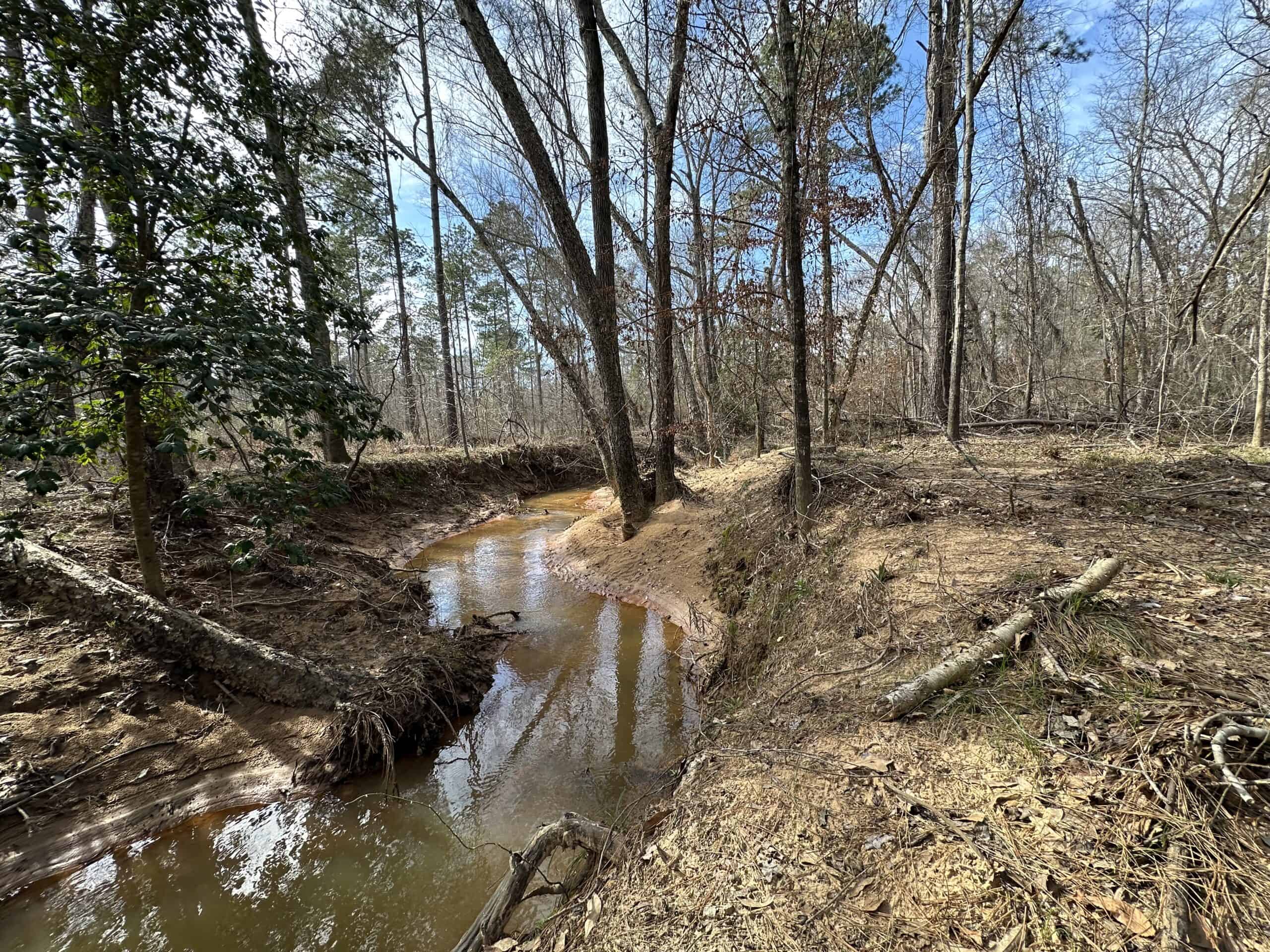East Texas Hunting/Recreational/Timber Land For Sale