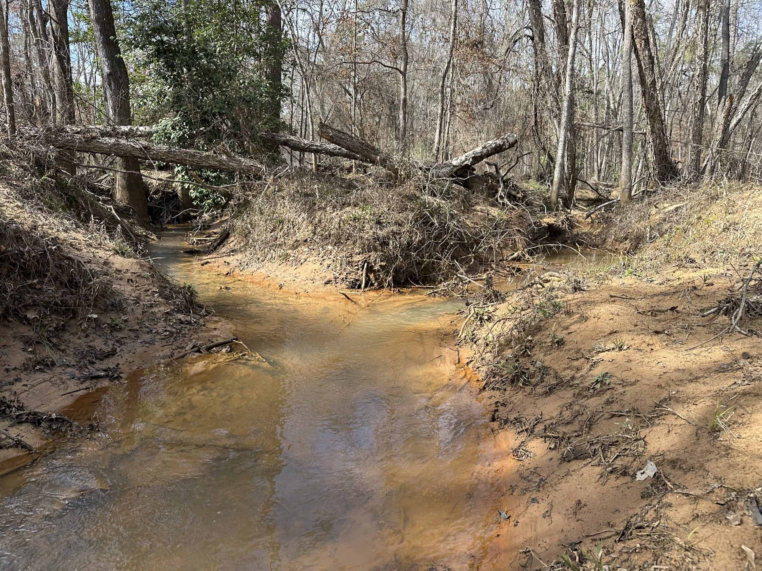 East Texas Hunting/Recreational/Timber Land For Sale