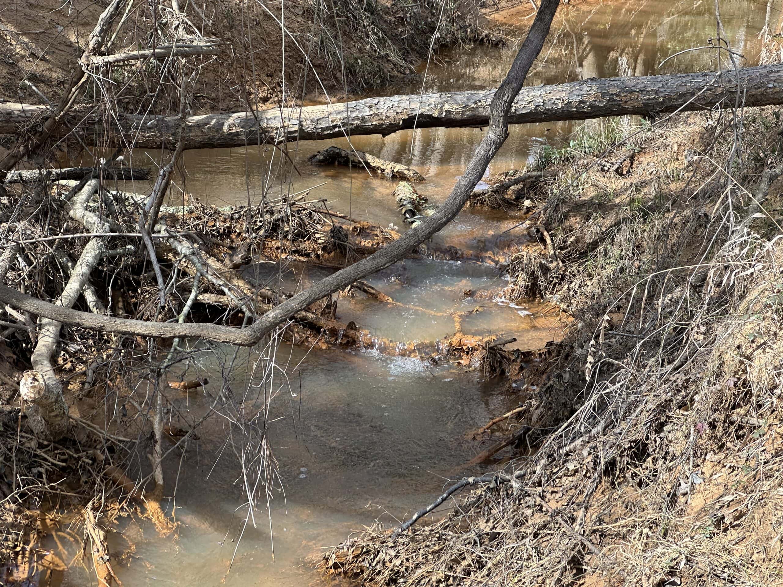 East Texas Hunting/Recreational/Timber Land For Sale