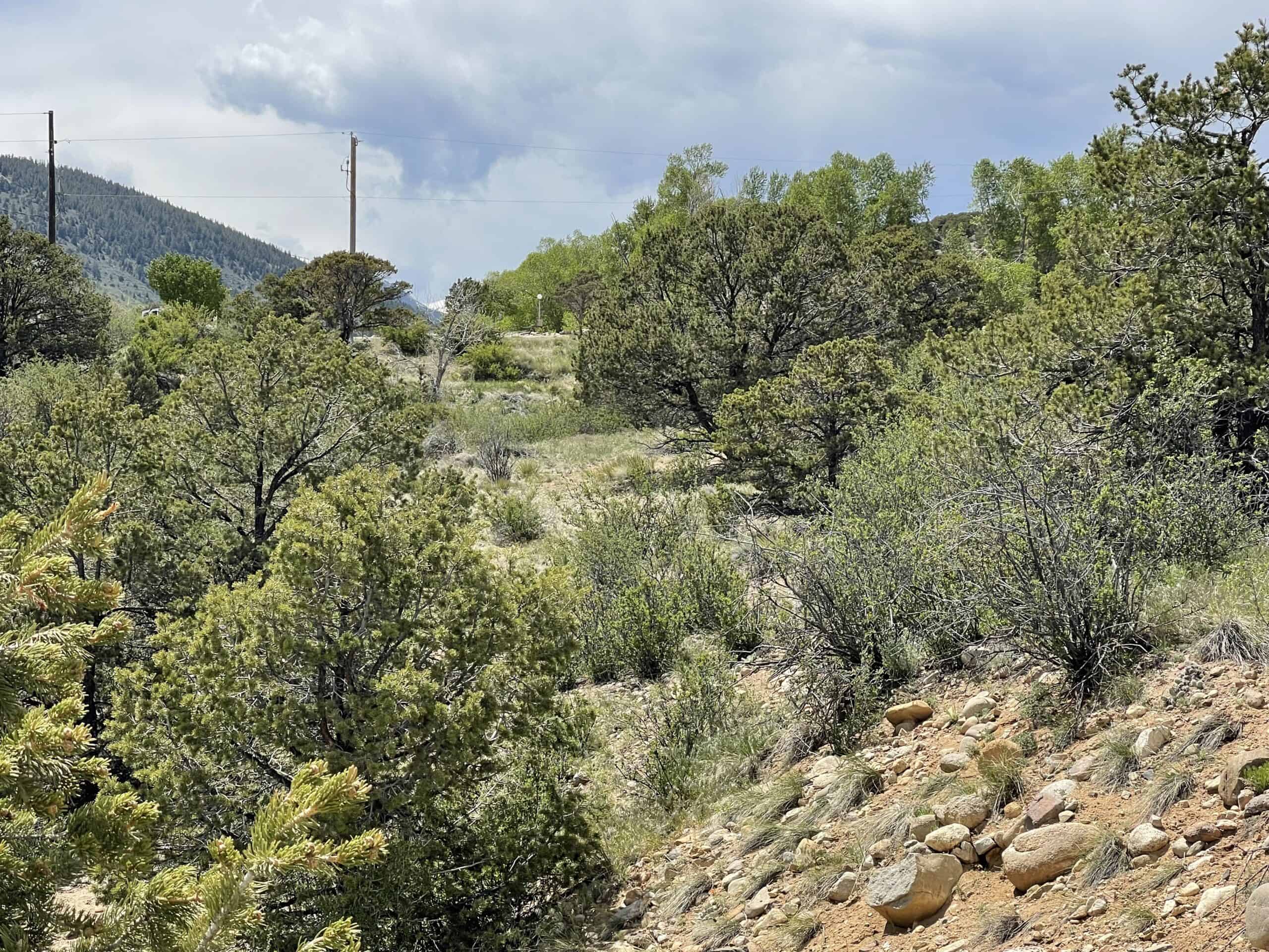 Colorado Mountain Building Lot In Salida Well and Electric