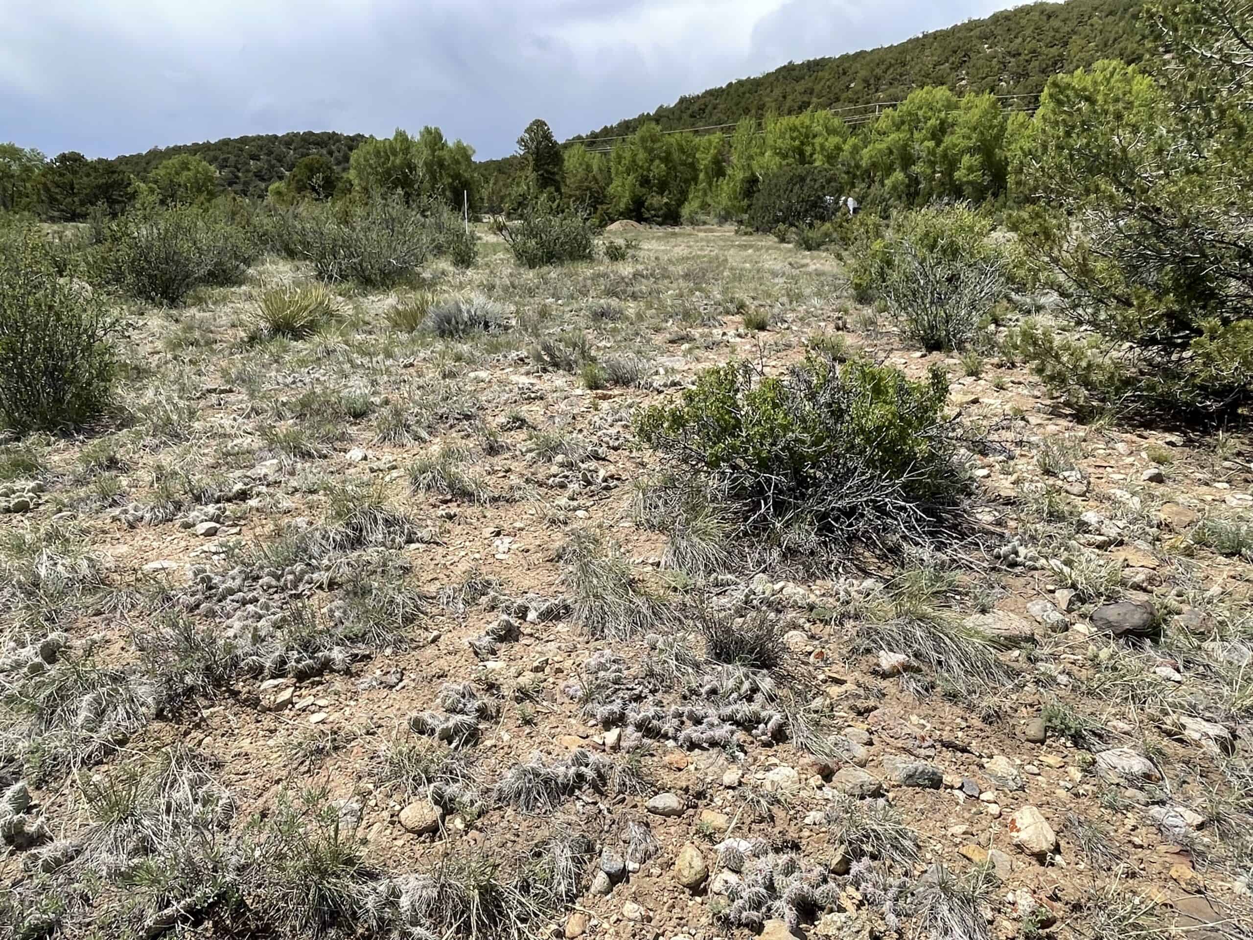 Colorado Mountain Building Lot In Salida Well and Electric