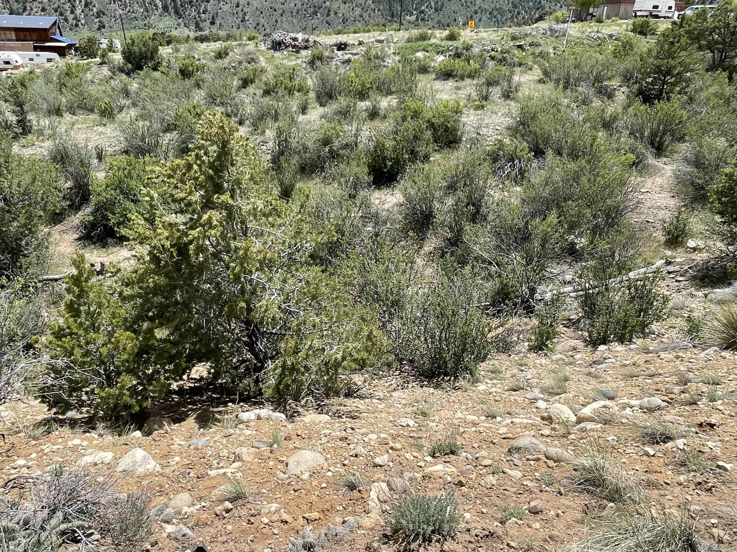 Colorado Mountain Building Lot In Salida Well and Electric