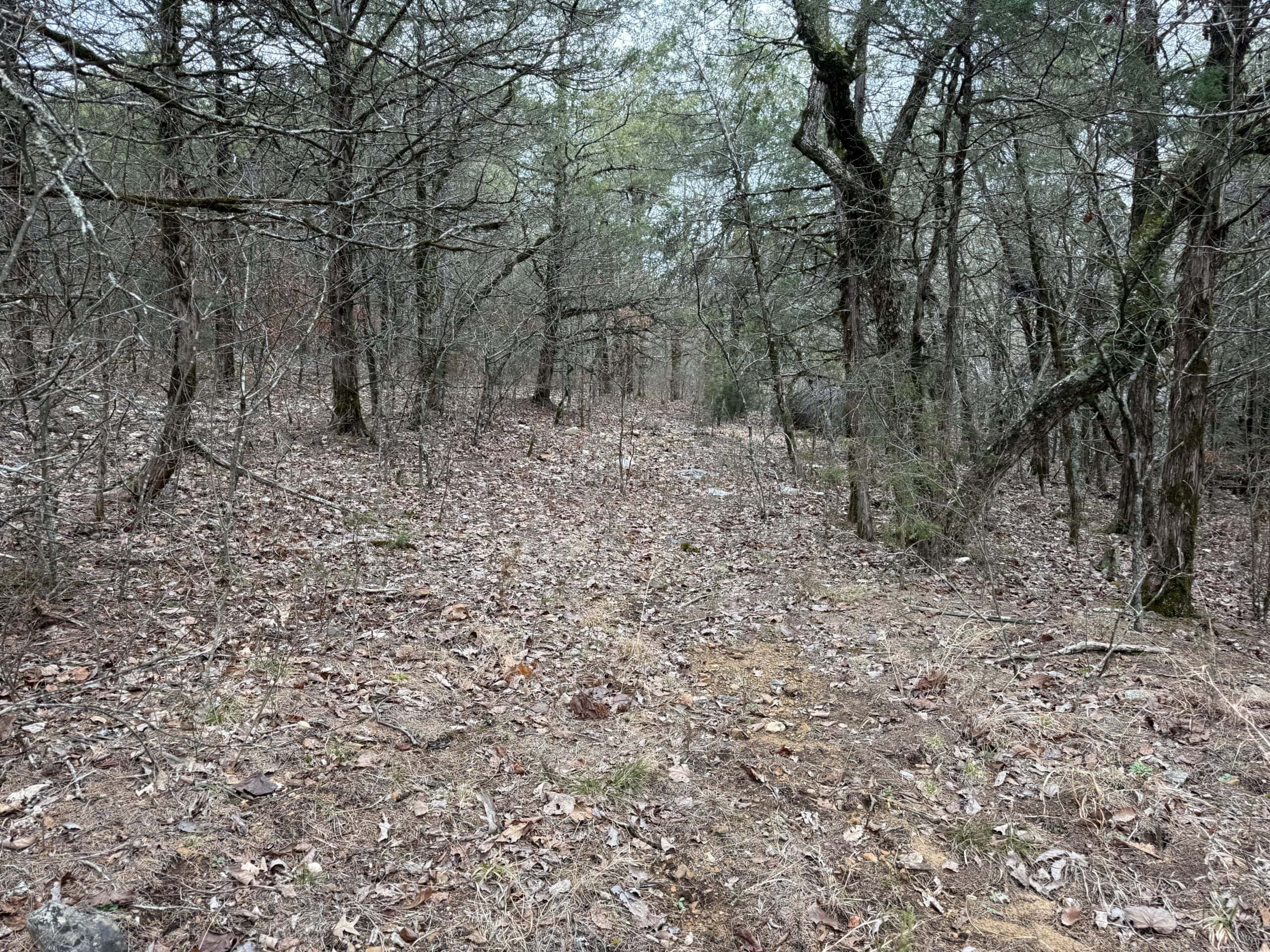 36 ACRES FOR SALE IN NORTH CENTRAL ARKANSAS