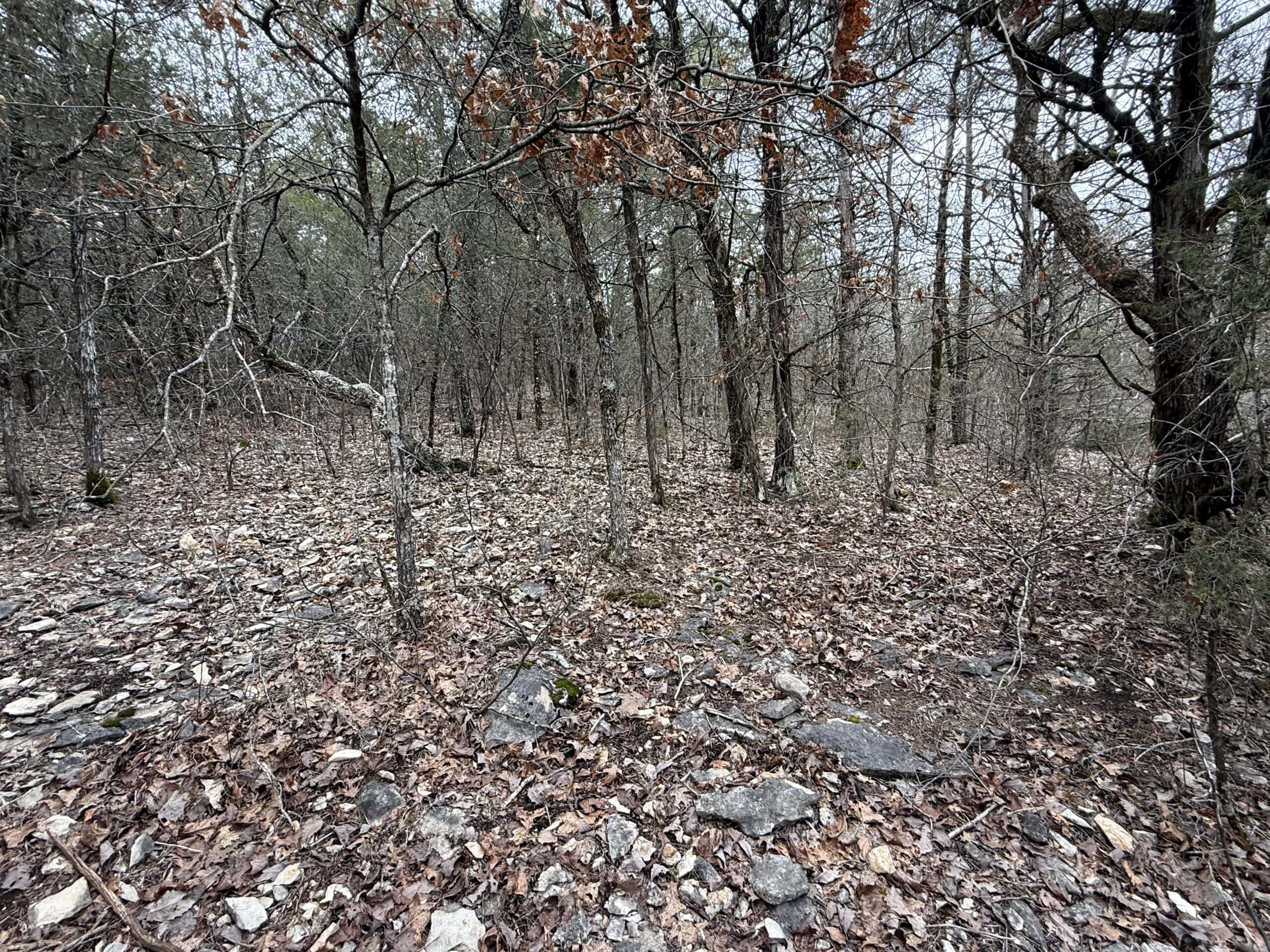 36 ACRES FOR SALE IN NORTH CENTRAL ARKANSAS