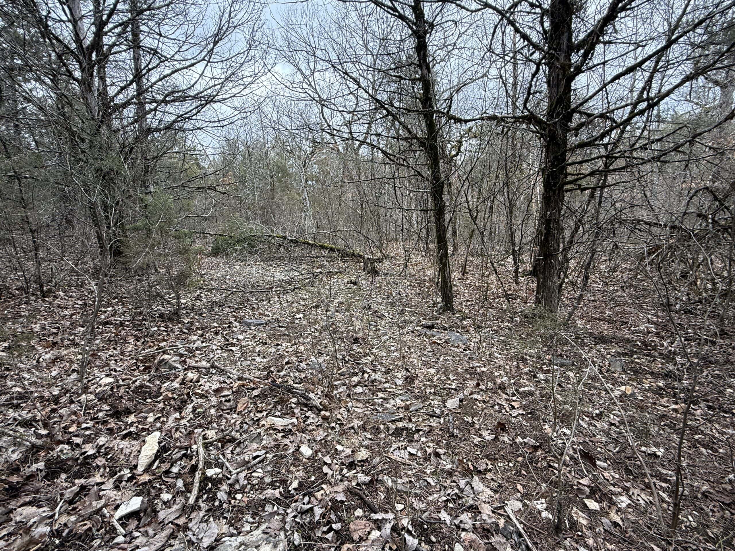 36 ACRES FOR SALE IN NORTH CENTRAL ARKANSAS