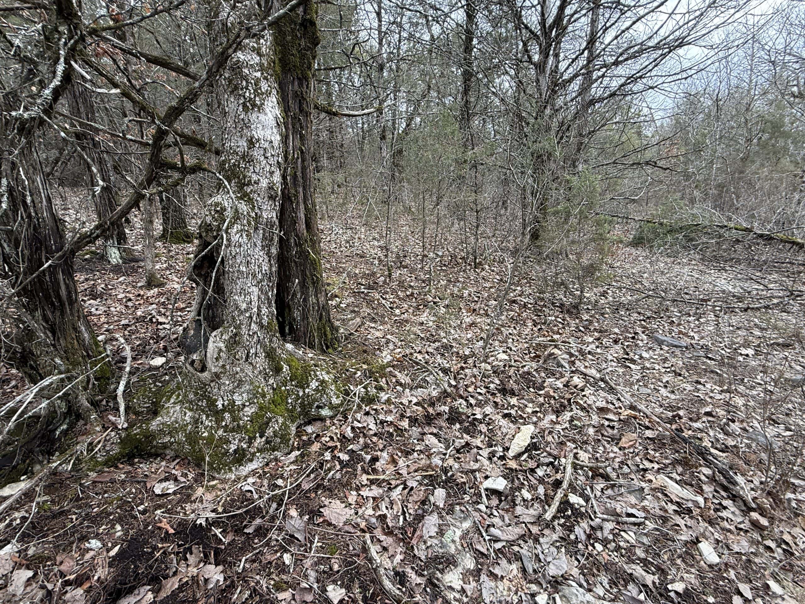 36 ACRES FOR SALE IN NORTH CENTRAL ARKANSAS