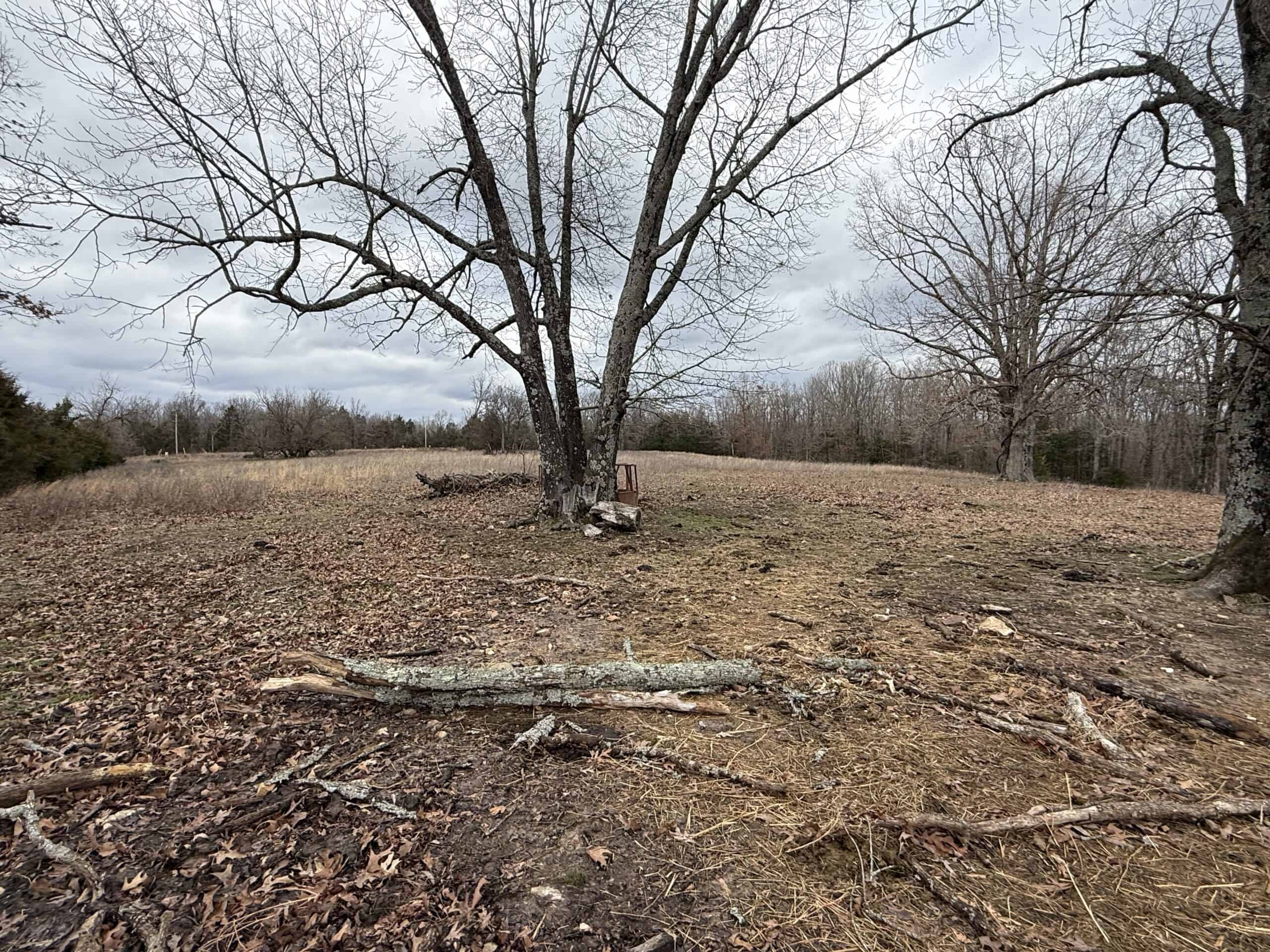 LAND FOR SALE IN NORTH CENTRAL ARKANSAS