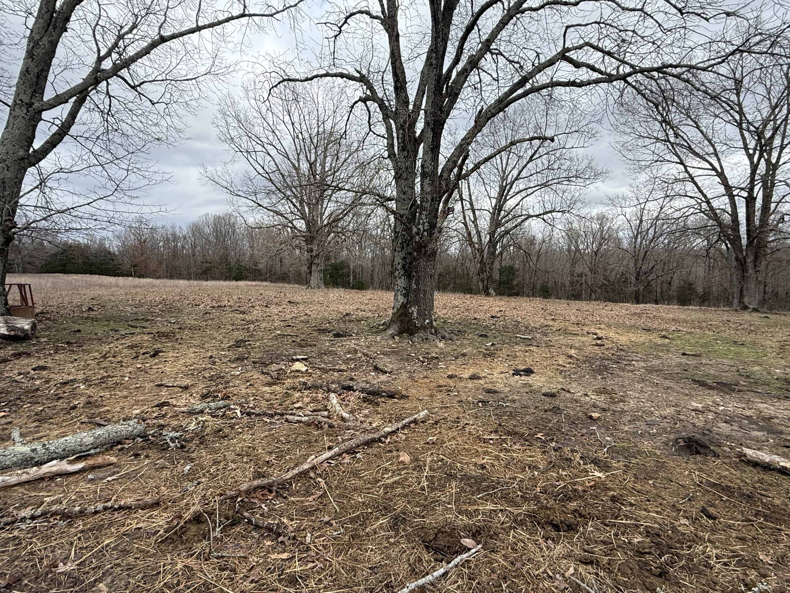 LAND FOR SALE IN NORTH CENTRAL ARKANSAS