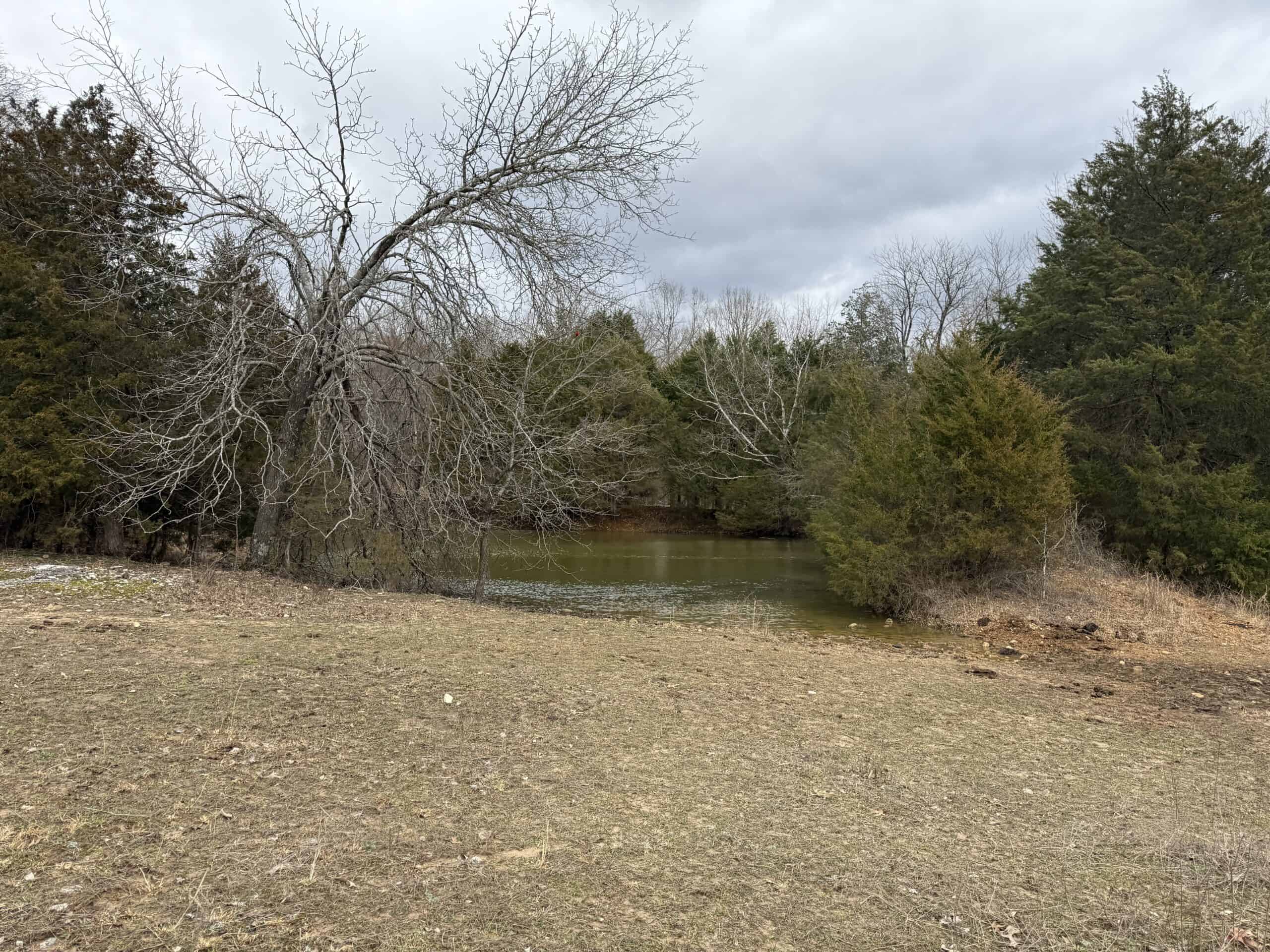 LAND FOR SALE IN NORTH CENTRAL ARKANSAS