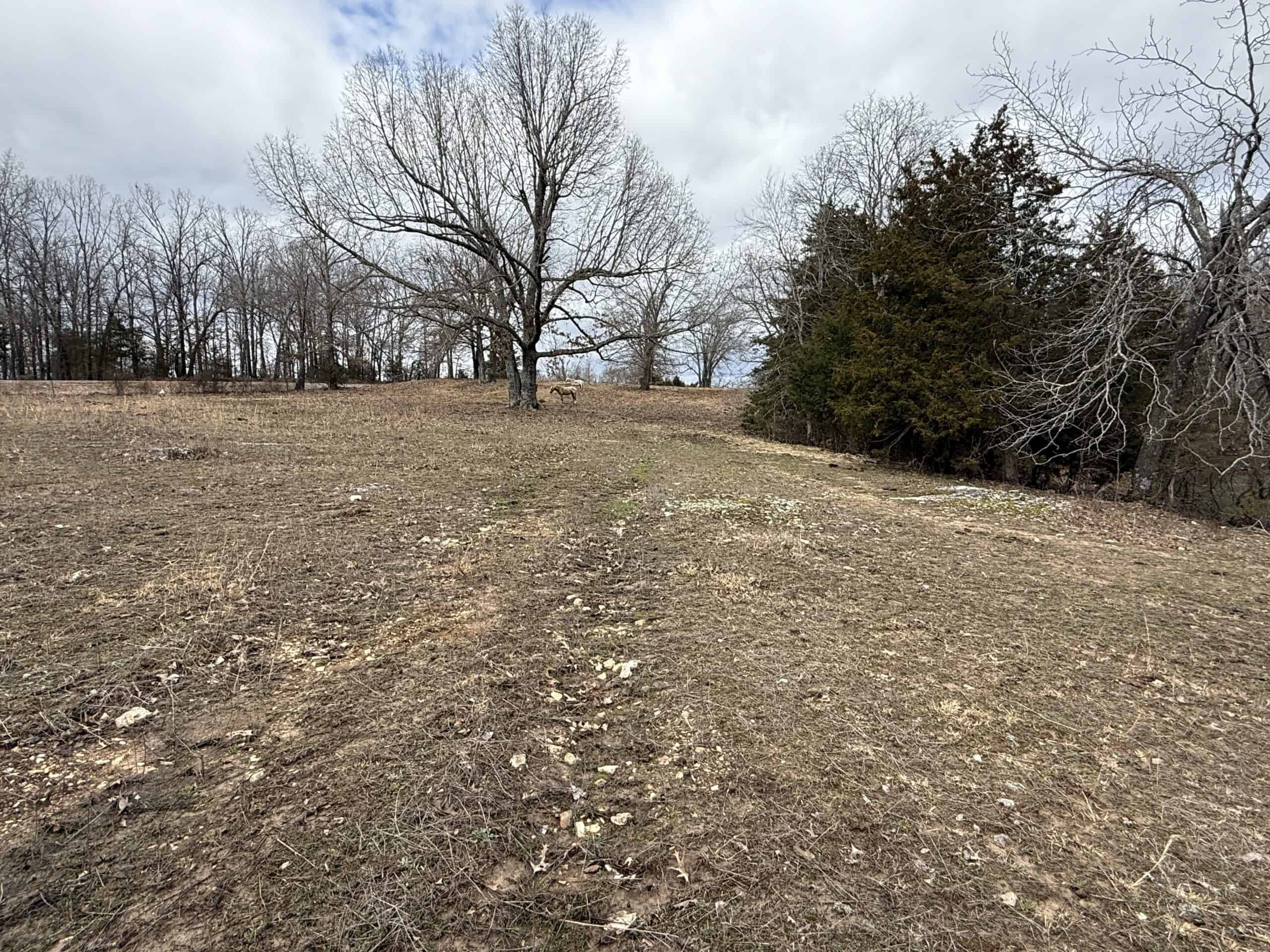 LAND FOR SALE IN NORTH CENTRAL ARKANSAS