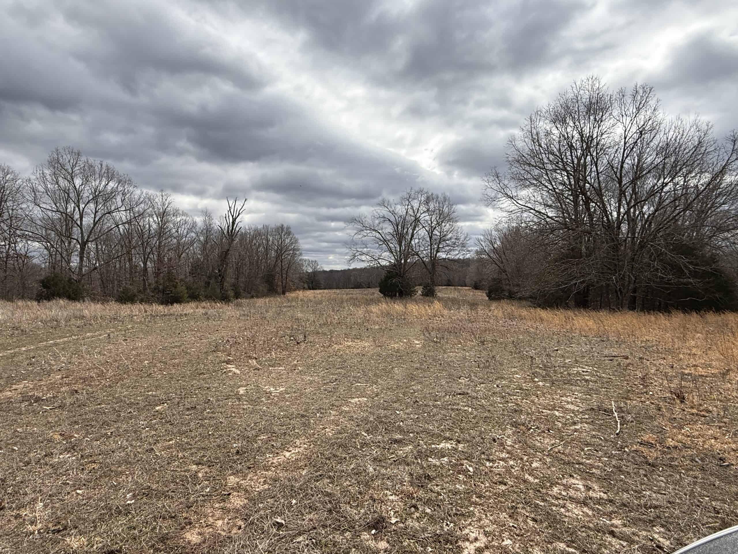 LAND FOR SALE IN NORTH CENTRAL ARKANSAS
