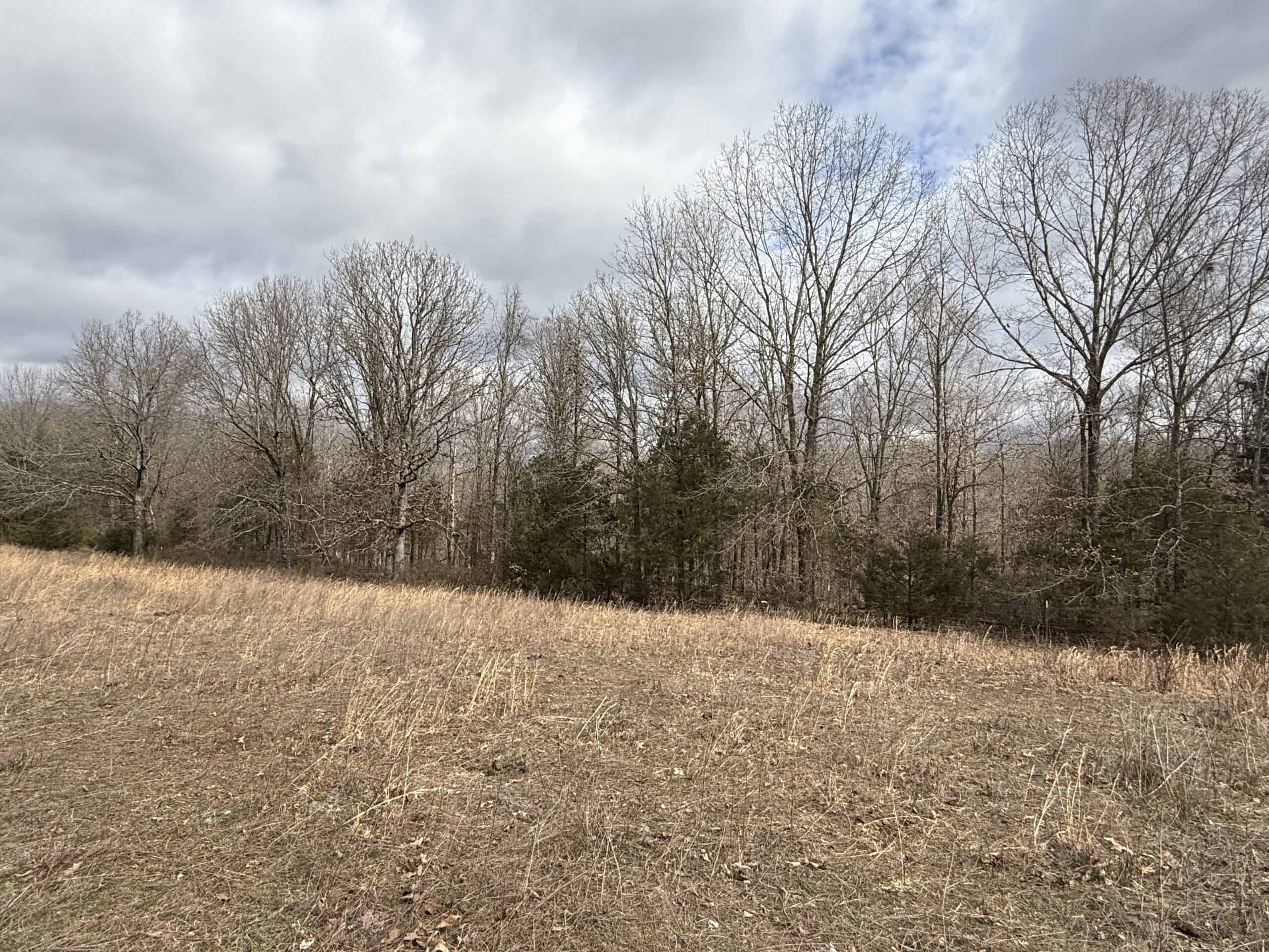 LAND FOR SALE IN NORTH CENTRAL ARKANSAS