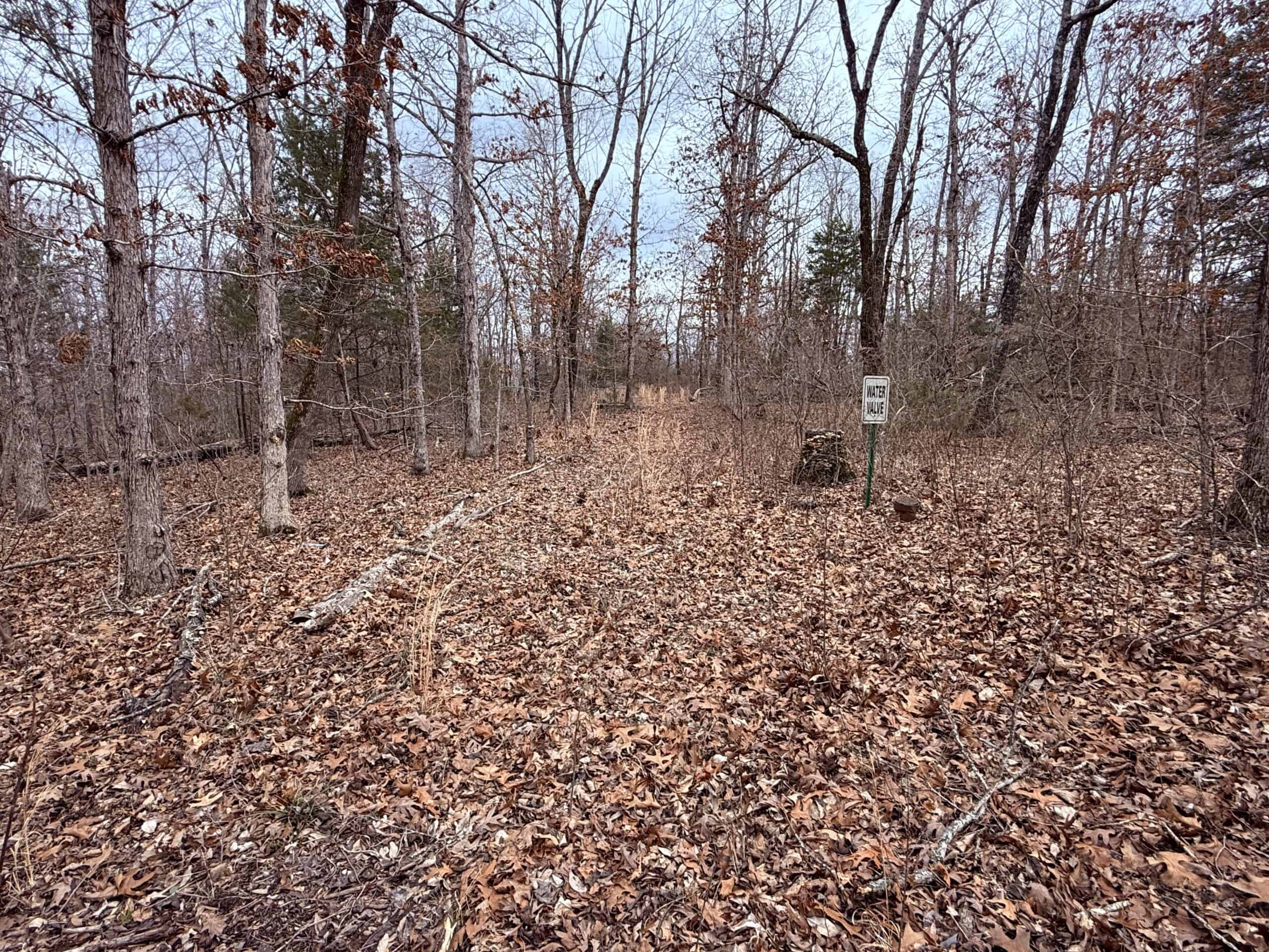LAND FOR SALE IN NORTH CENTRAL ARKANSAS