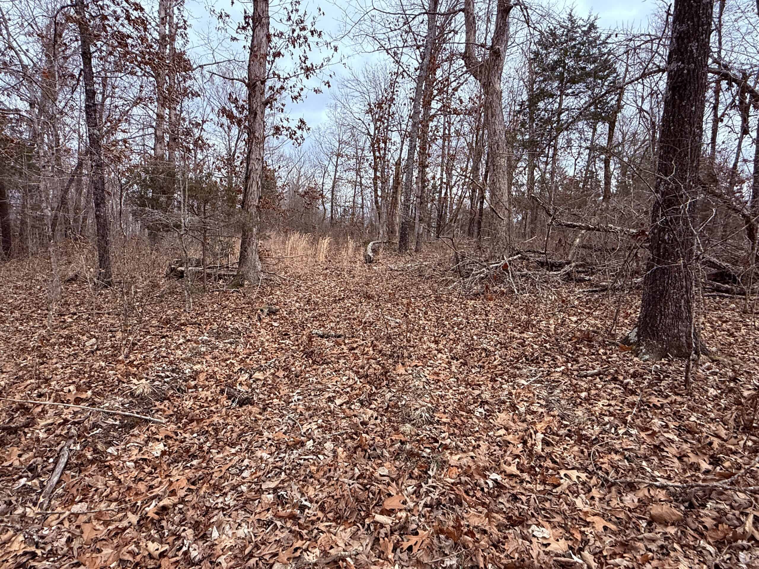 LAND FOR SALE IN NORTH CENTRAL ARKANSAS