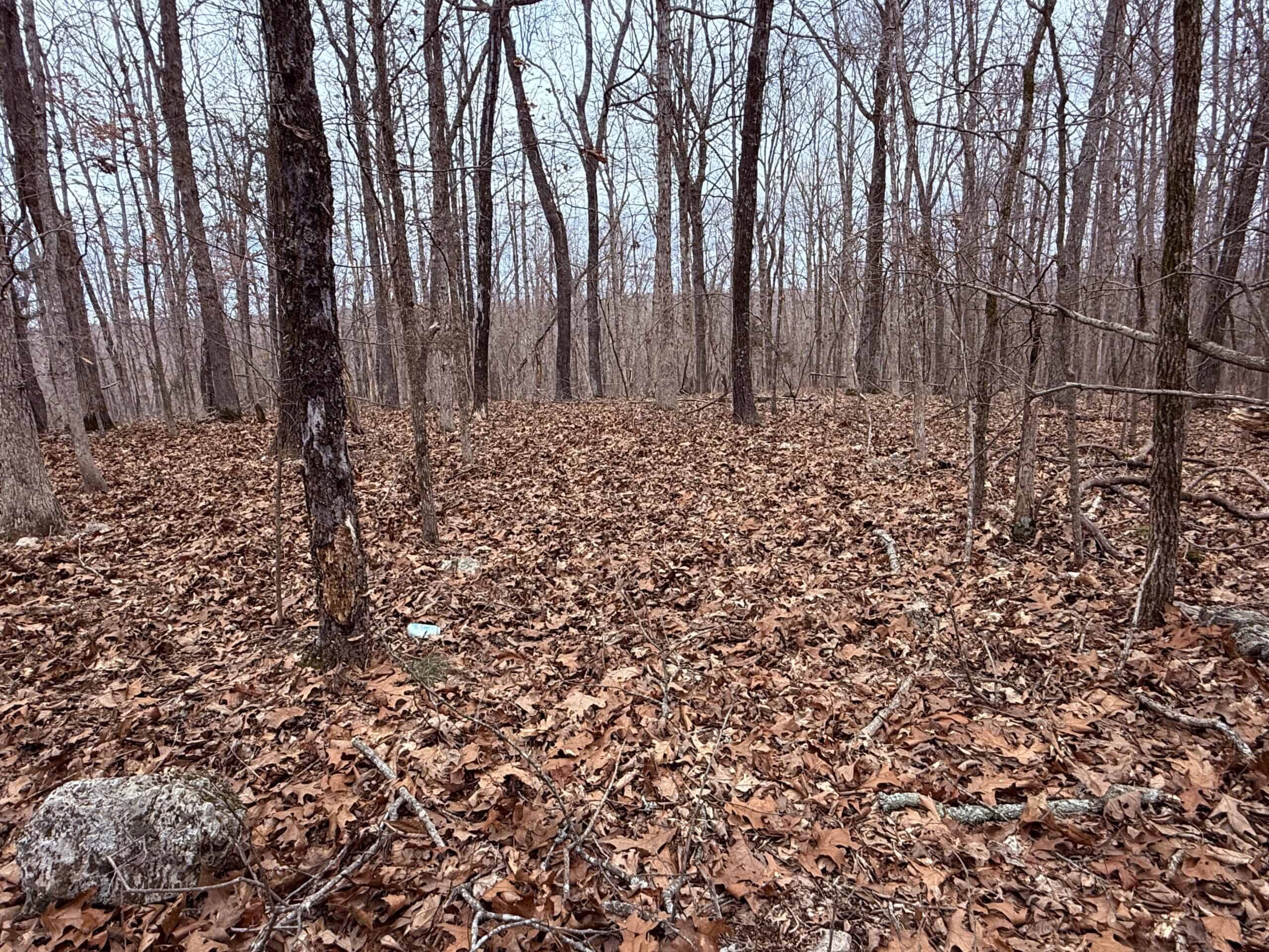 LAND FOR SALE IN NORTH CENTRAL ARKANSAS