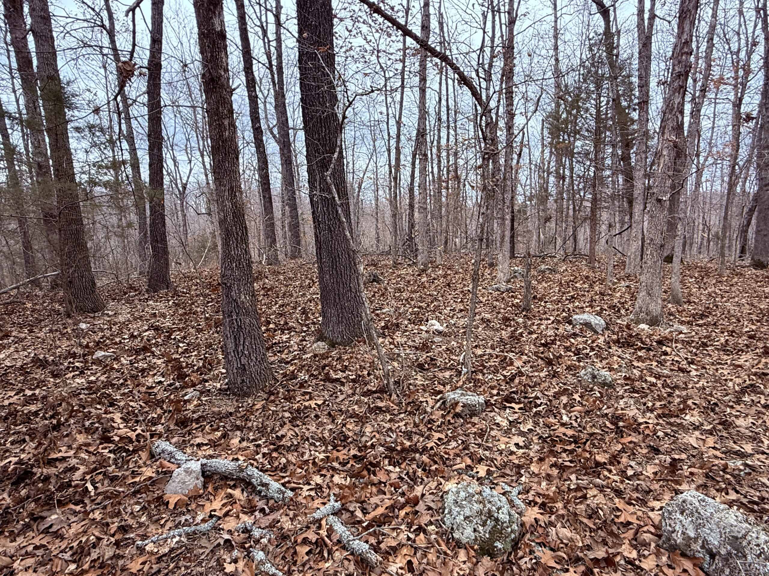 LAND FOR SALE IN NORTH CENTRAL ARKANSAS