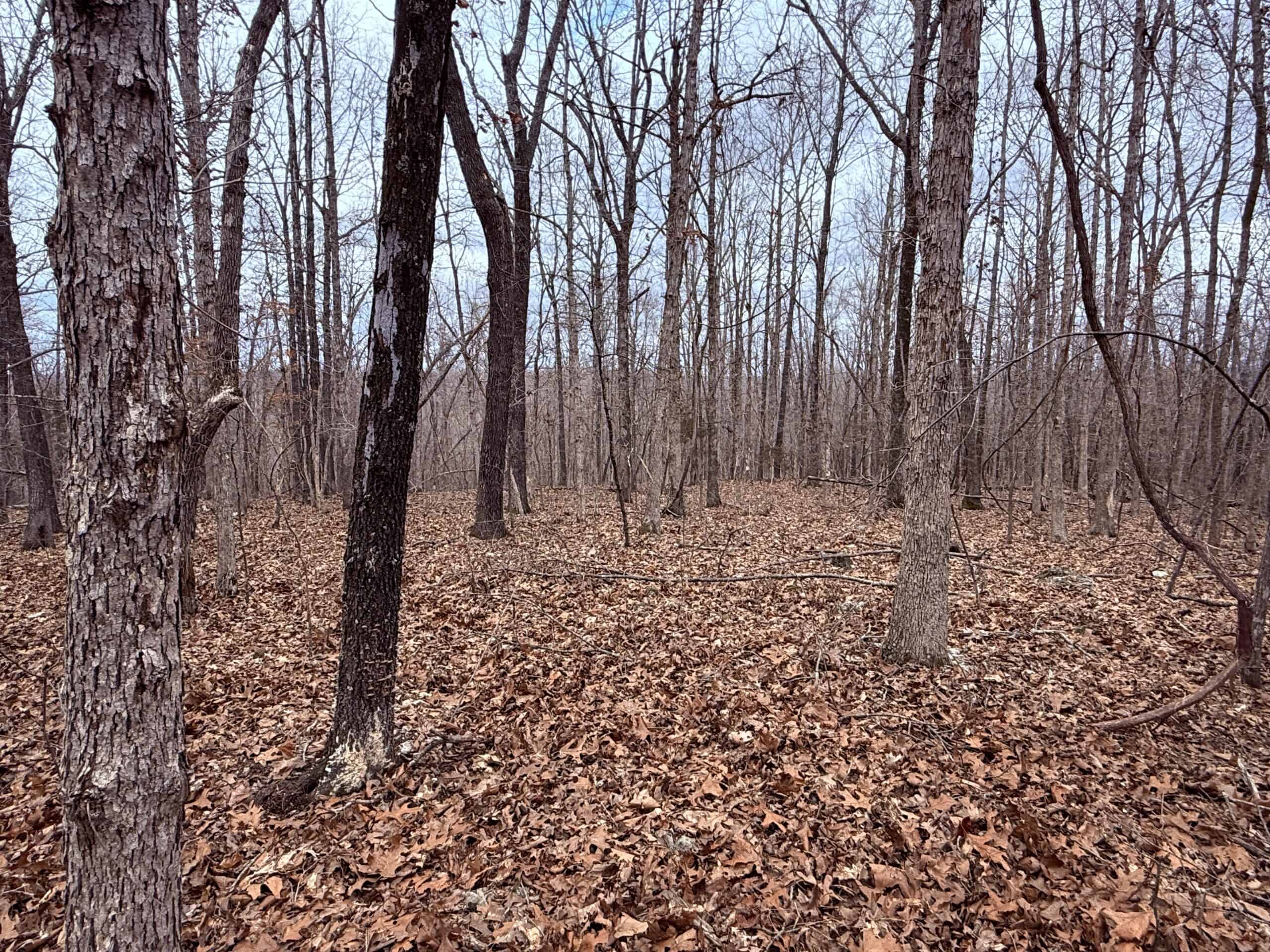 LAND FOR SALE IN NORTH CENTRAL ARKANSAS