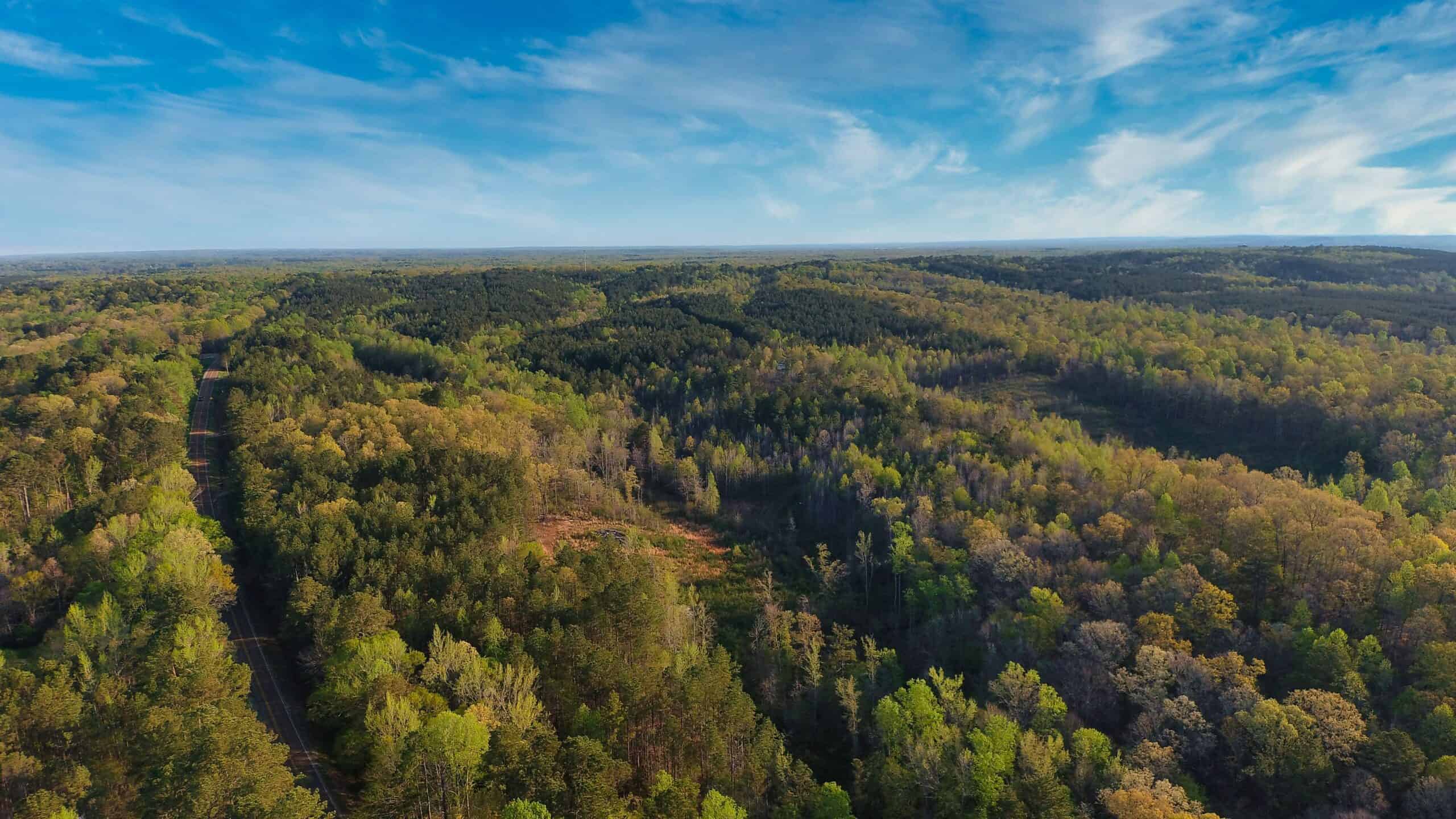 HUNTING LAND FOR SALE NEAR TN RIVER WITH CREEK 154.16Acres