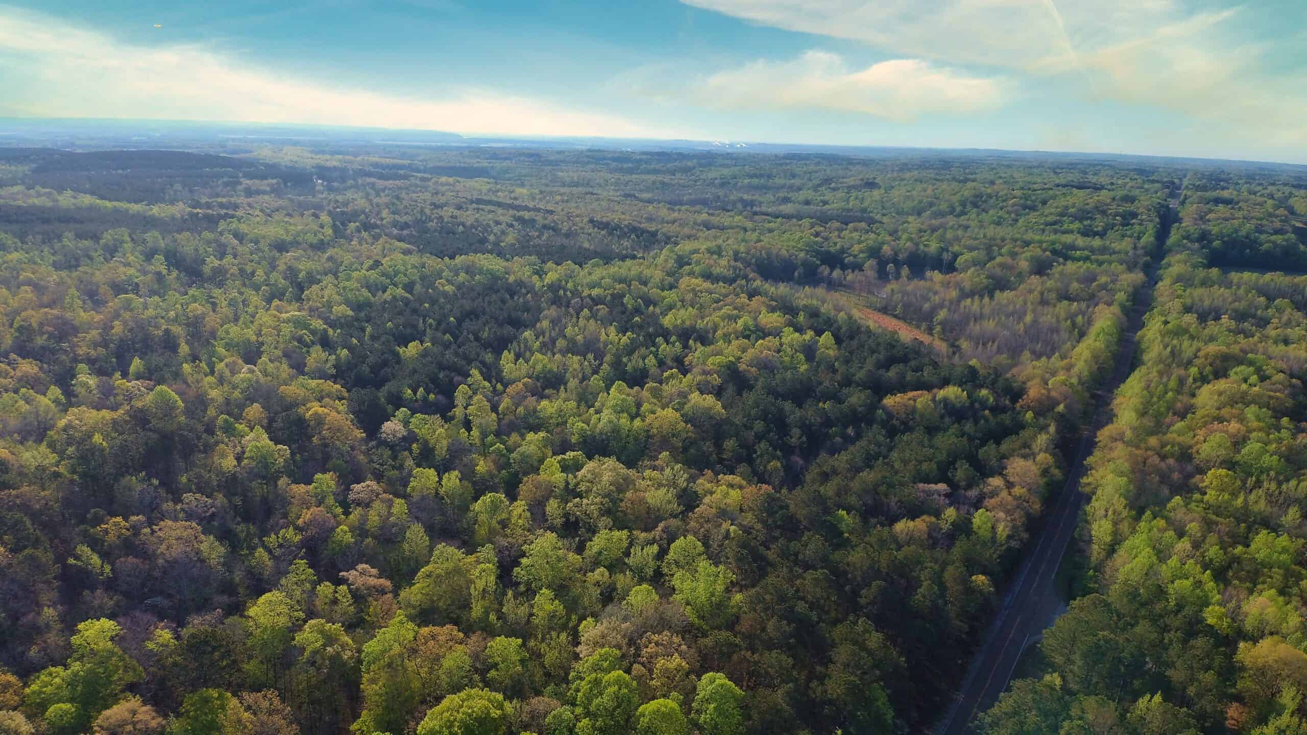 HUNTING LAND FOR SALE NEAR TN RIVER WITH CREEK 154.16Acres