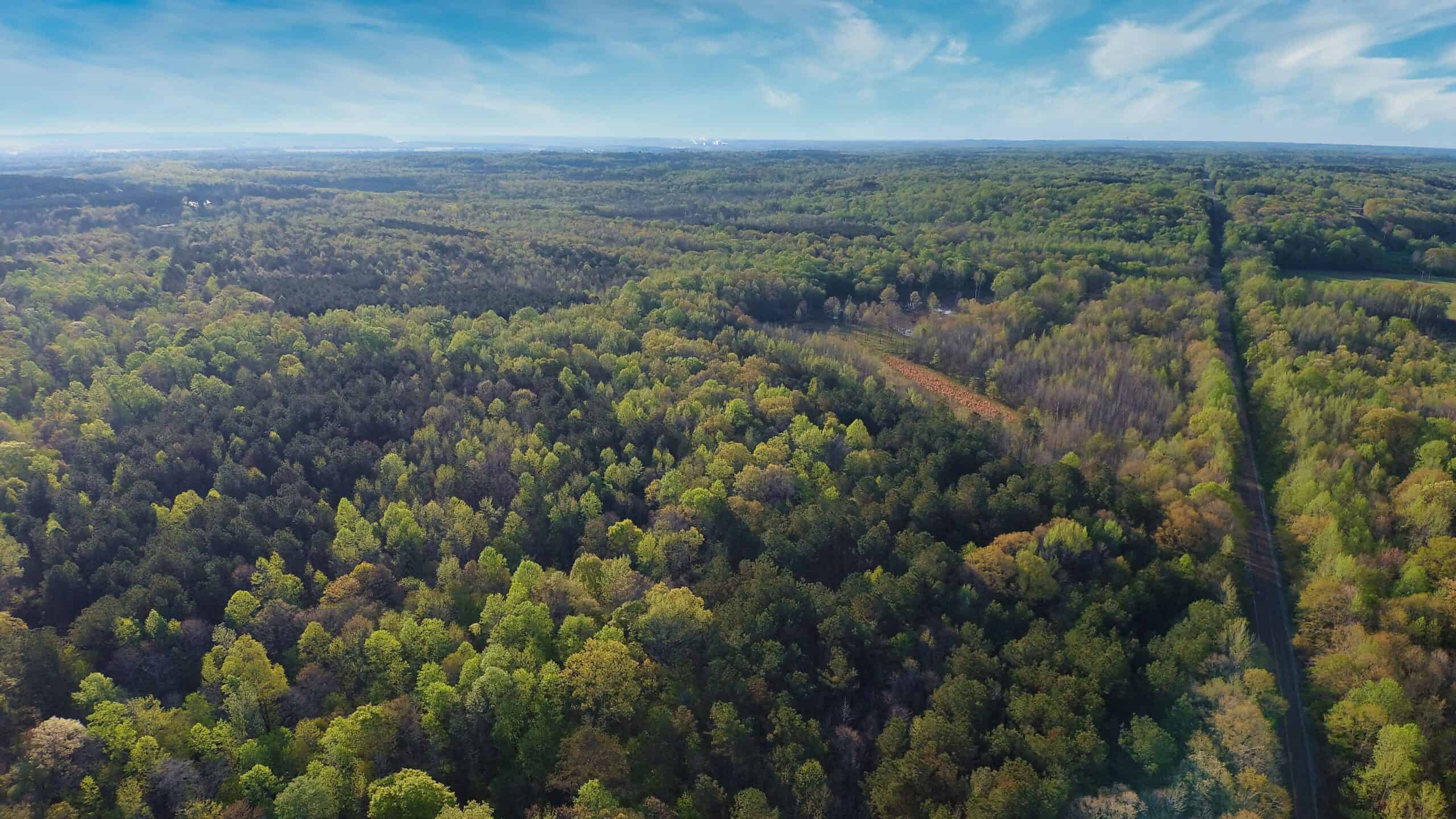 HUNTING LAND FOR SALE NEAR TN RIVER WITH CREEK 154.16Acres