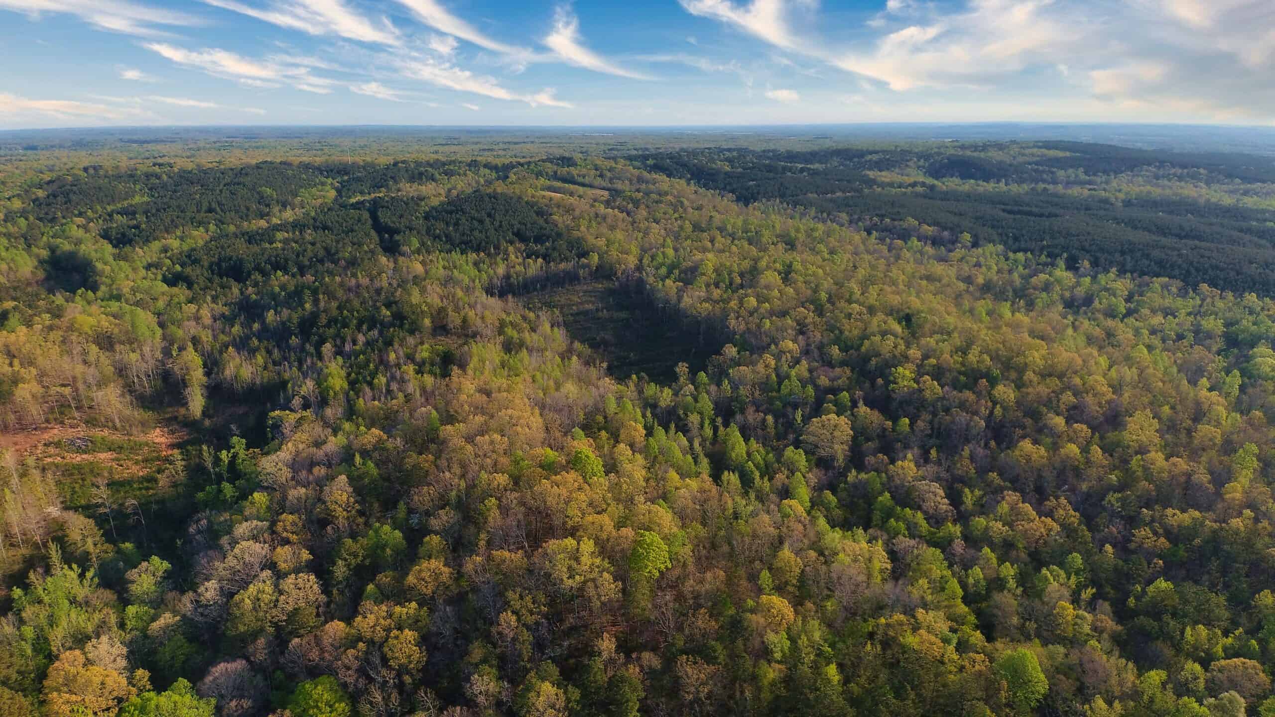 HUNTING LAND FOR SALE NEAR TN RIVER WITH CREEK 154.16Acres