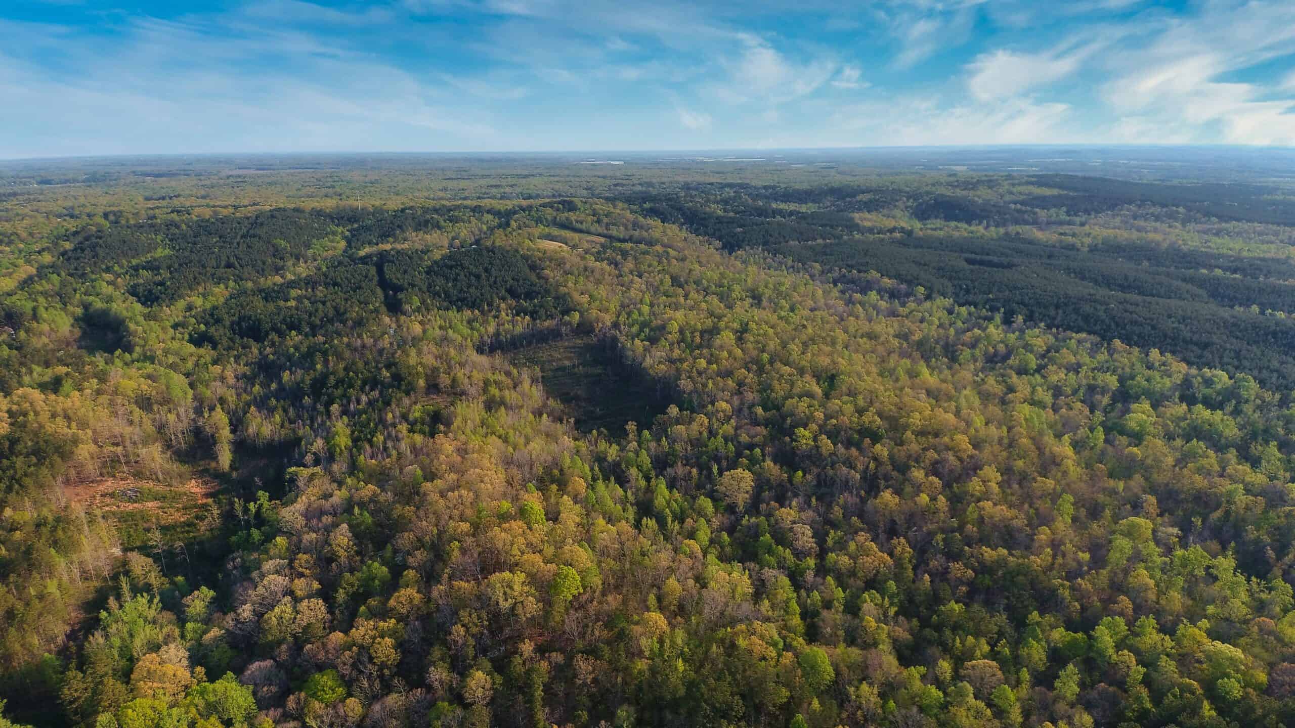 HUNTING LAND FOR SALE NEAR TN RIVER WITH CREEK 154.16Acres