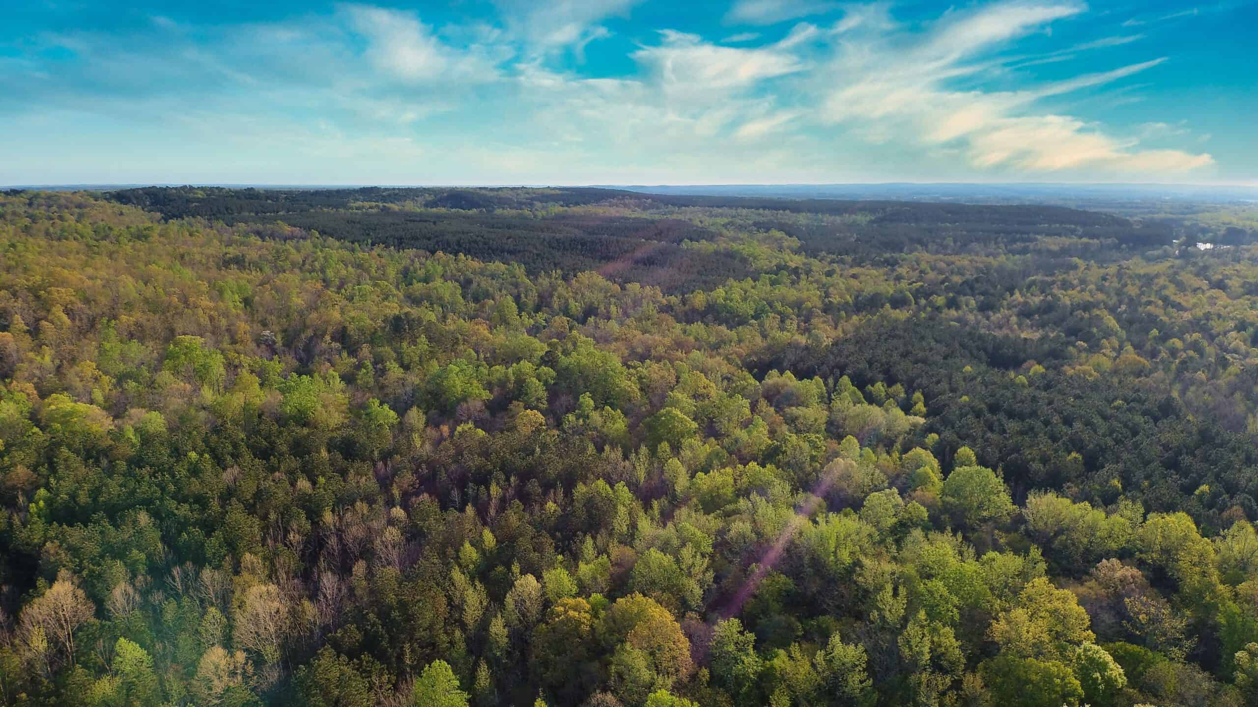 HUNTING LAND FOR SALE NEAR TN RIVER WITH CREEK 154.16Acres
