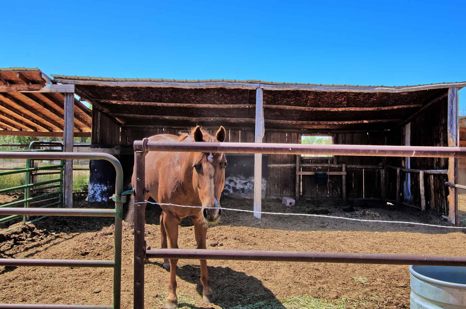Ranch For Sale in Colorado Horse Property and Rental Cabins