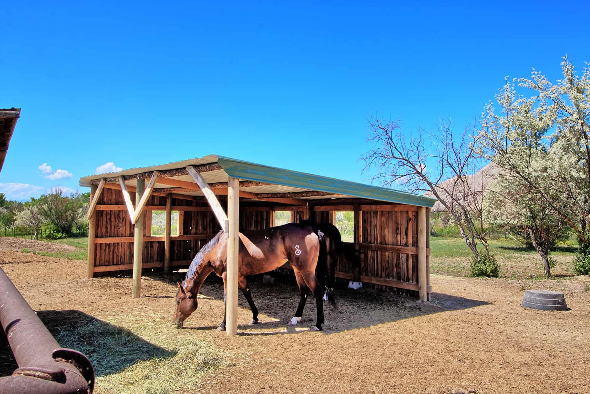 Ranch For Sale in Colorado Horse Property and Rental Cabins